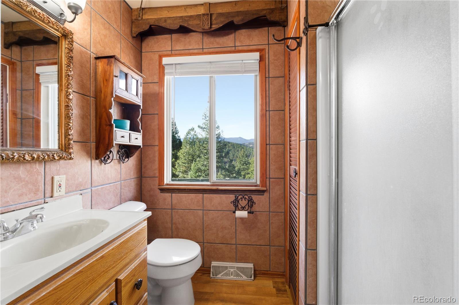 MLS Image #15 for 243  hi meadow drive,bailey, Colorado