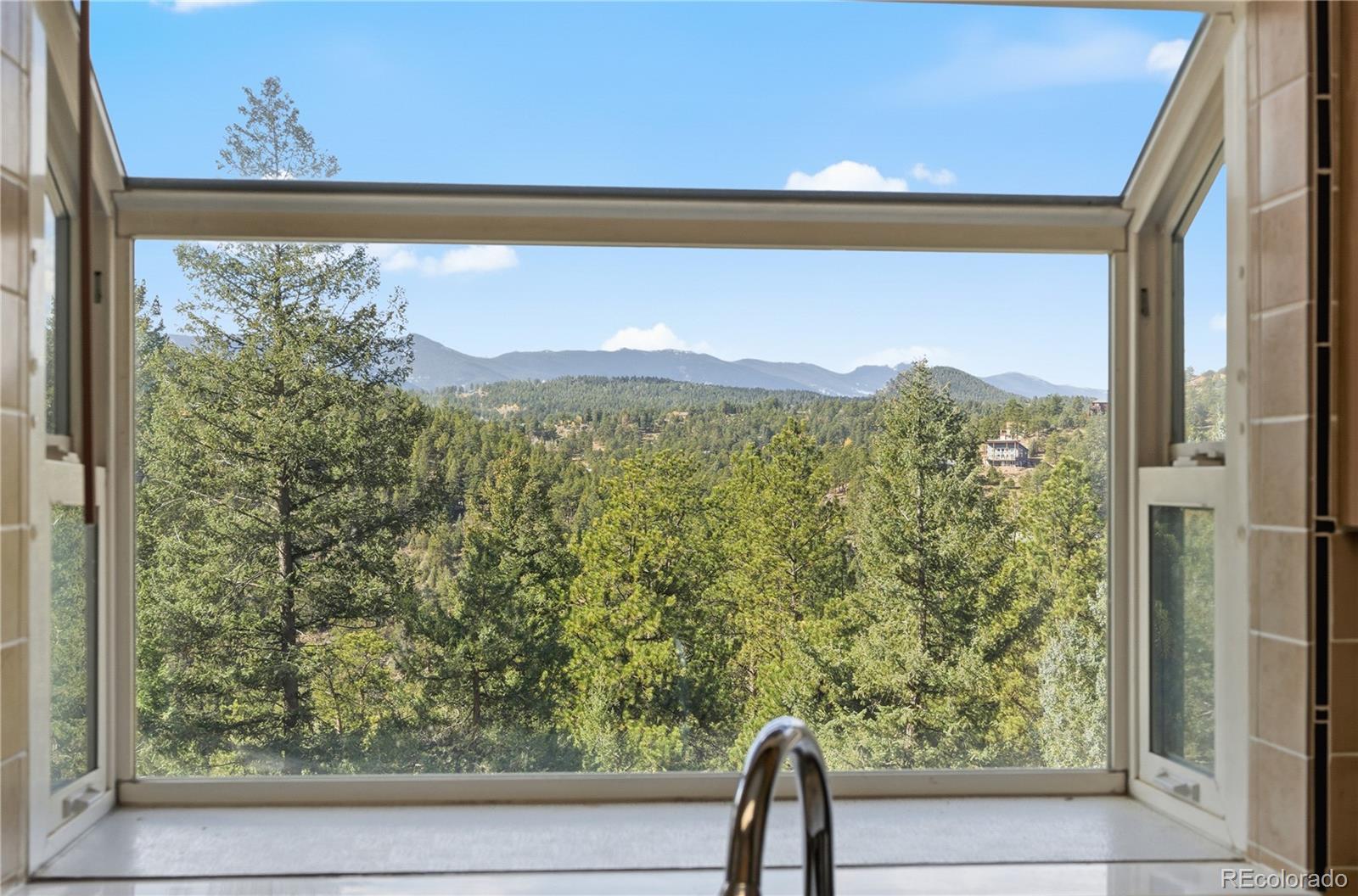 MLS Image #16 for 243  hi meadow drive,bailey, Colorado