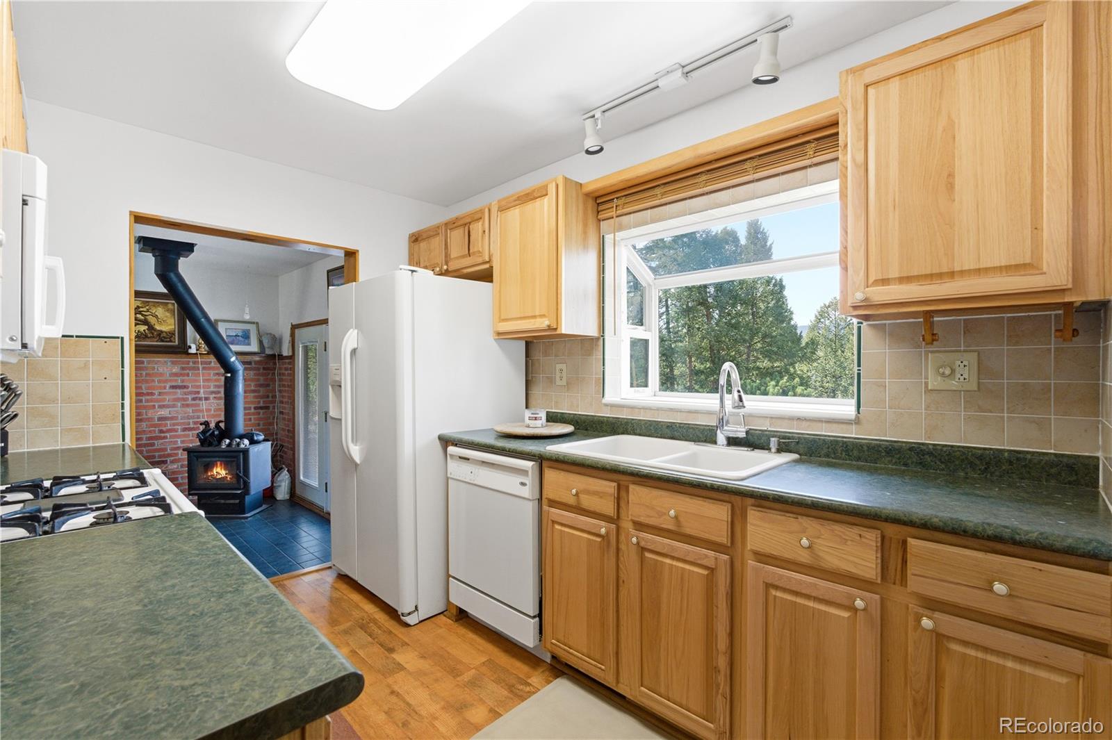 MLS Image #17 for 243  hi meadow drive,bailey, Colorado