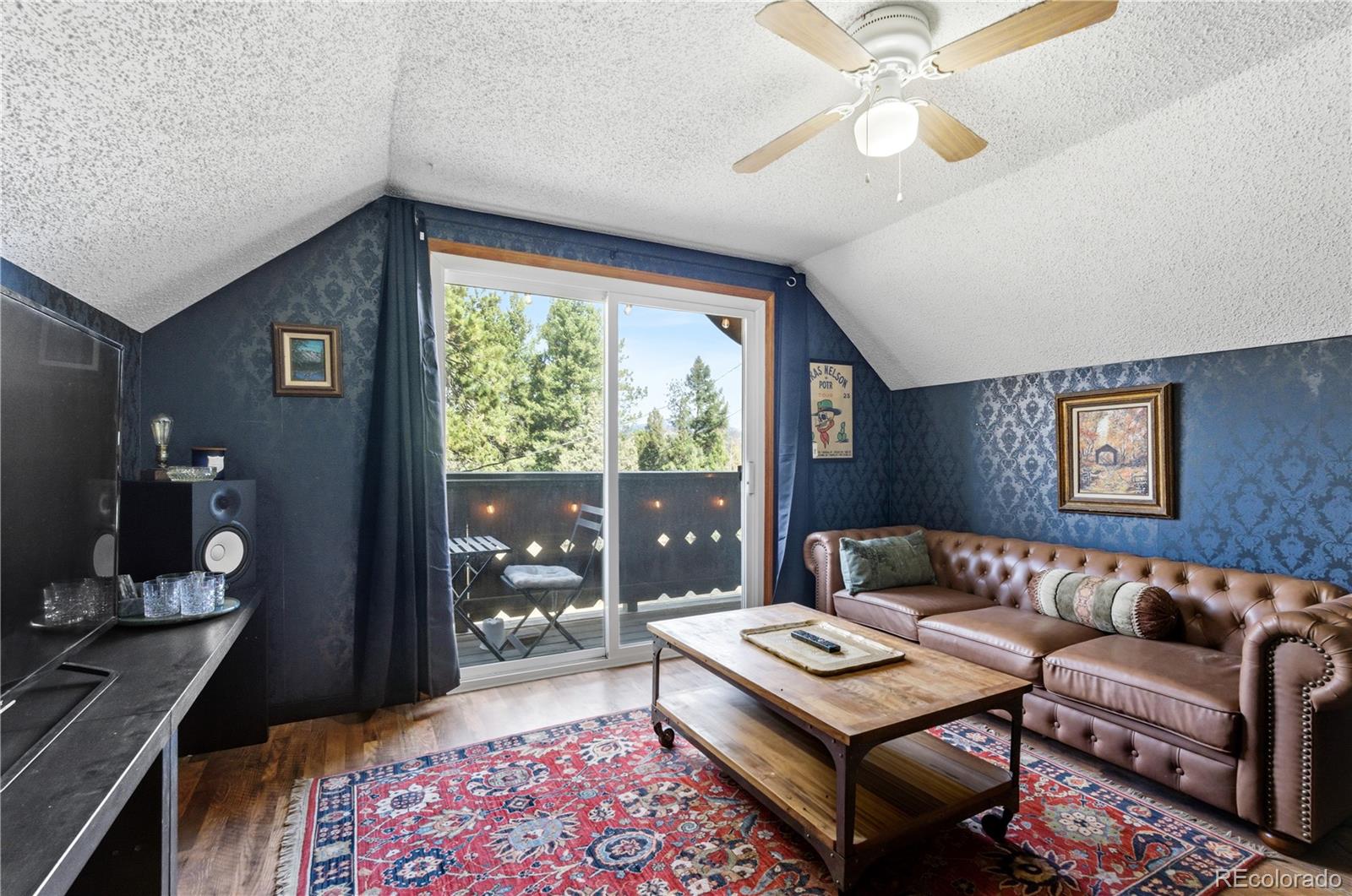 MLS Image #21 for 243  hi meadow drive,bailey, Colorado