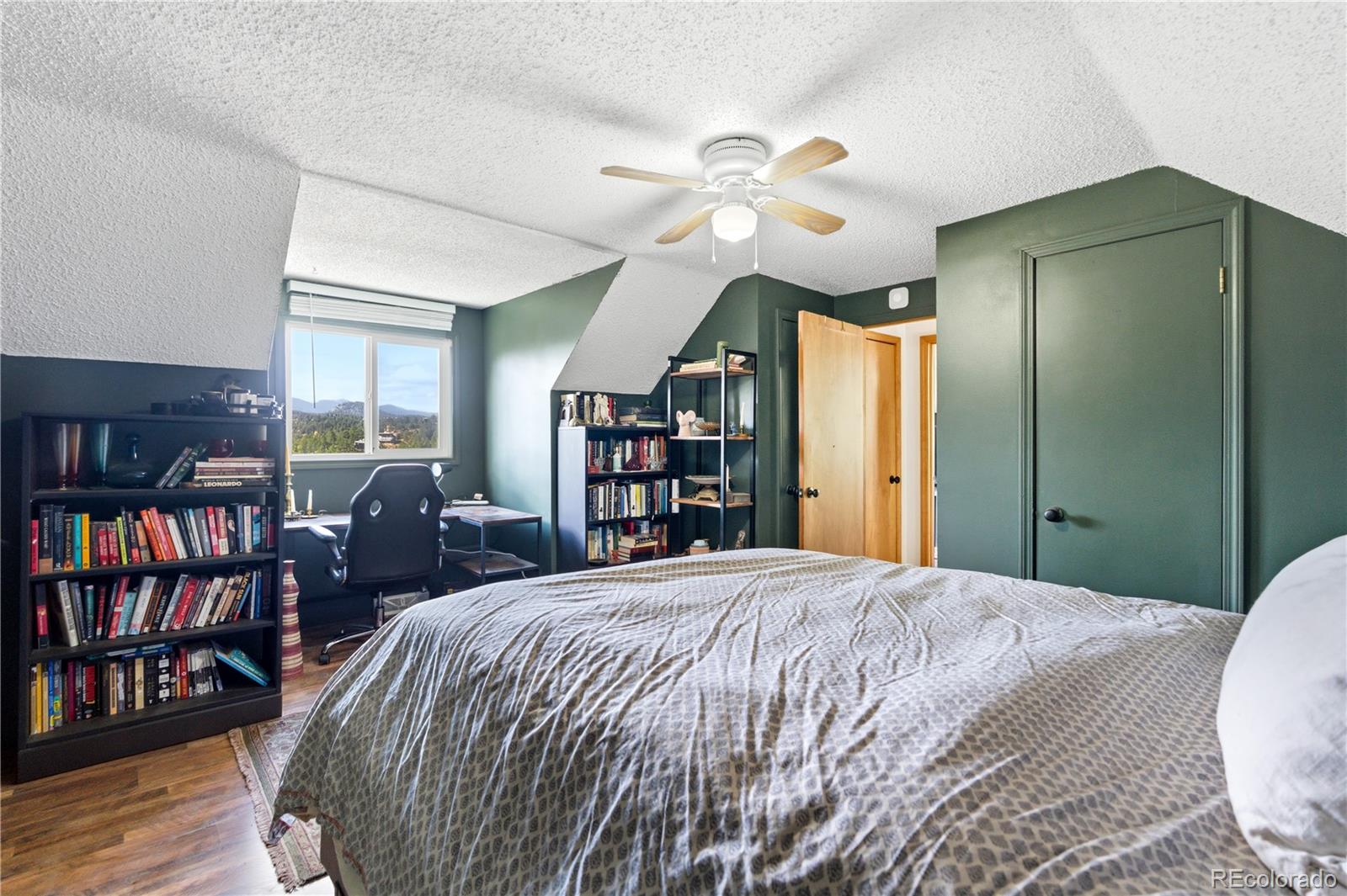 MLS Image #23 for 243  hi meadow drive,bailey, Colorado