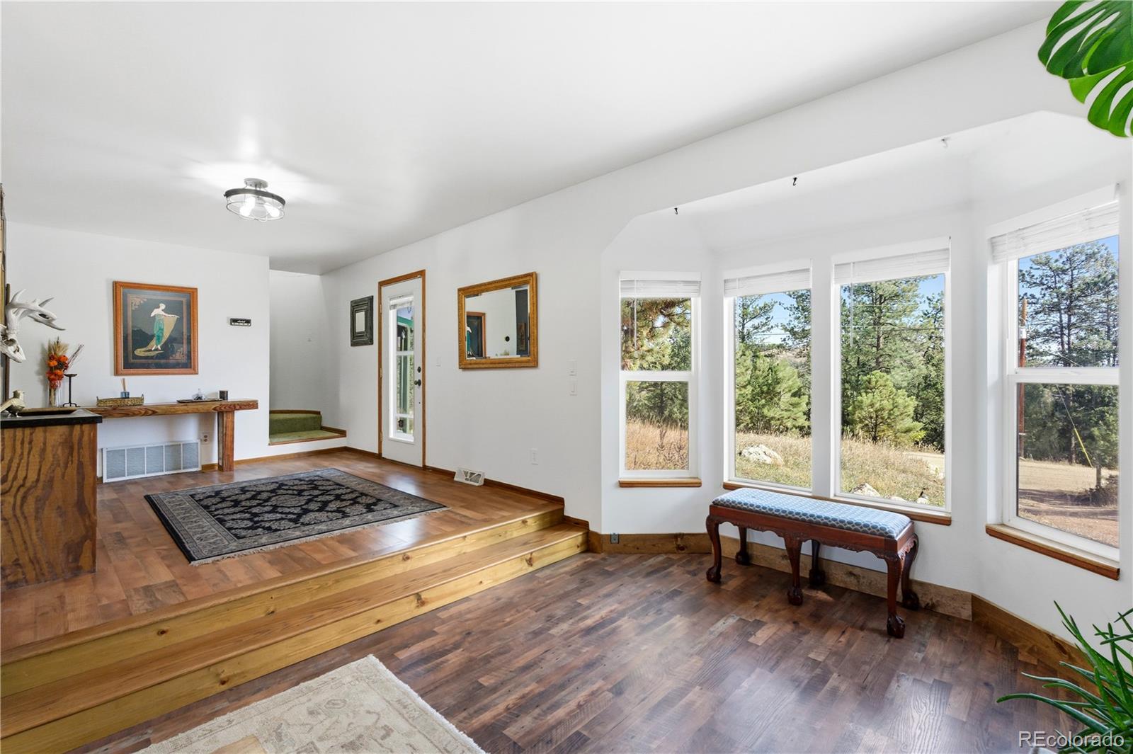 MLS Image #8 for 243  hi meadow drive,bailey, Colorado