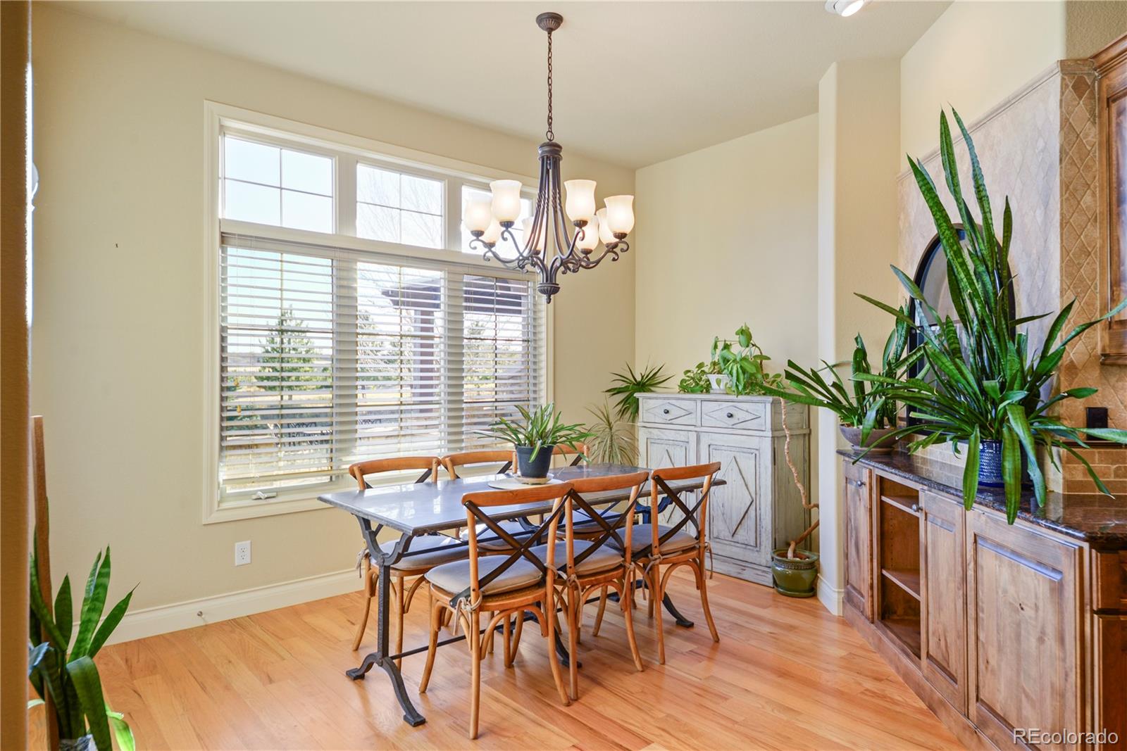 MLS Image #18 for 4616  sonado place,parker, Colorado
