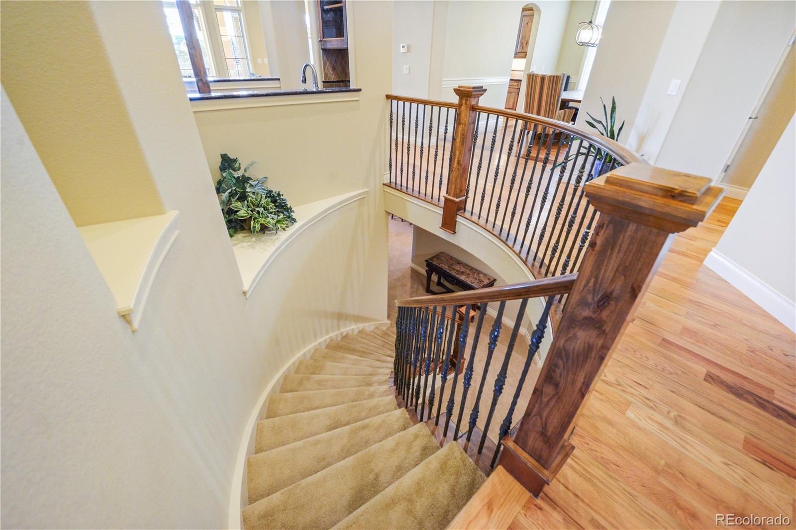 MLS Image #33 for 4616  sonado place,parker, Colorado