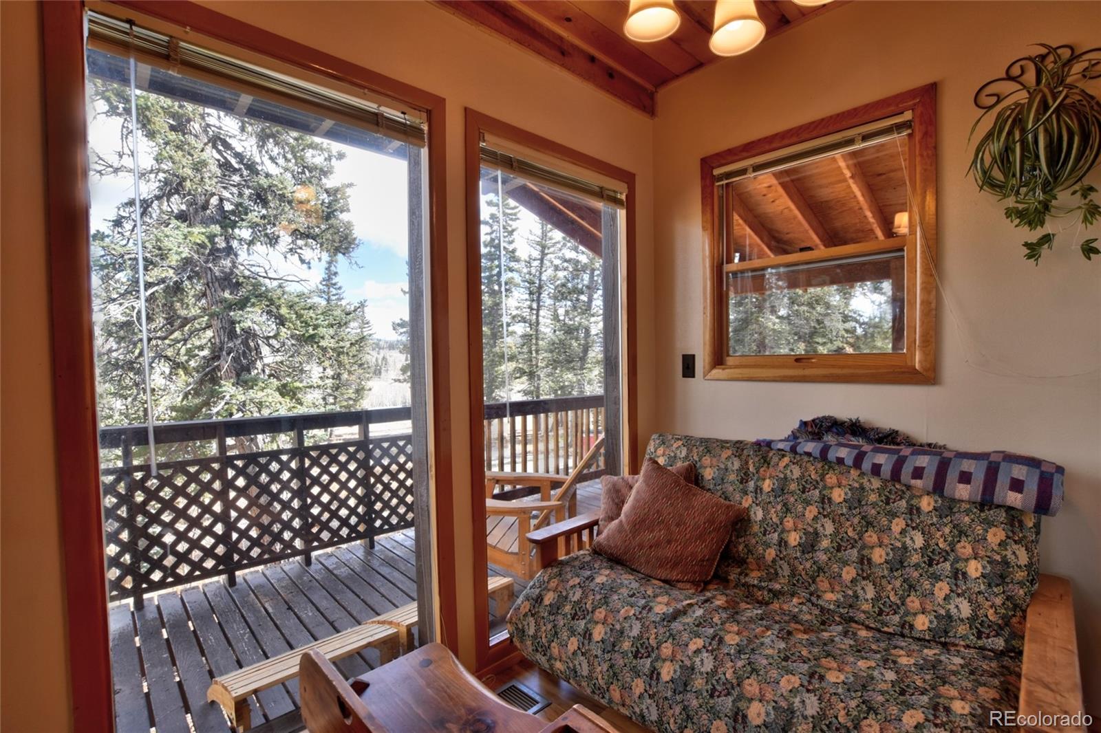 MLS Image #11 for 45  swiggler court,jefferson, Colorado