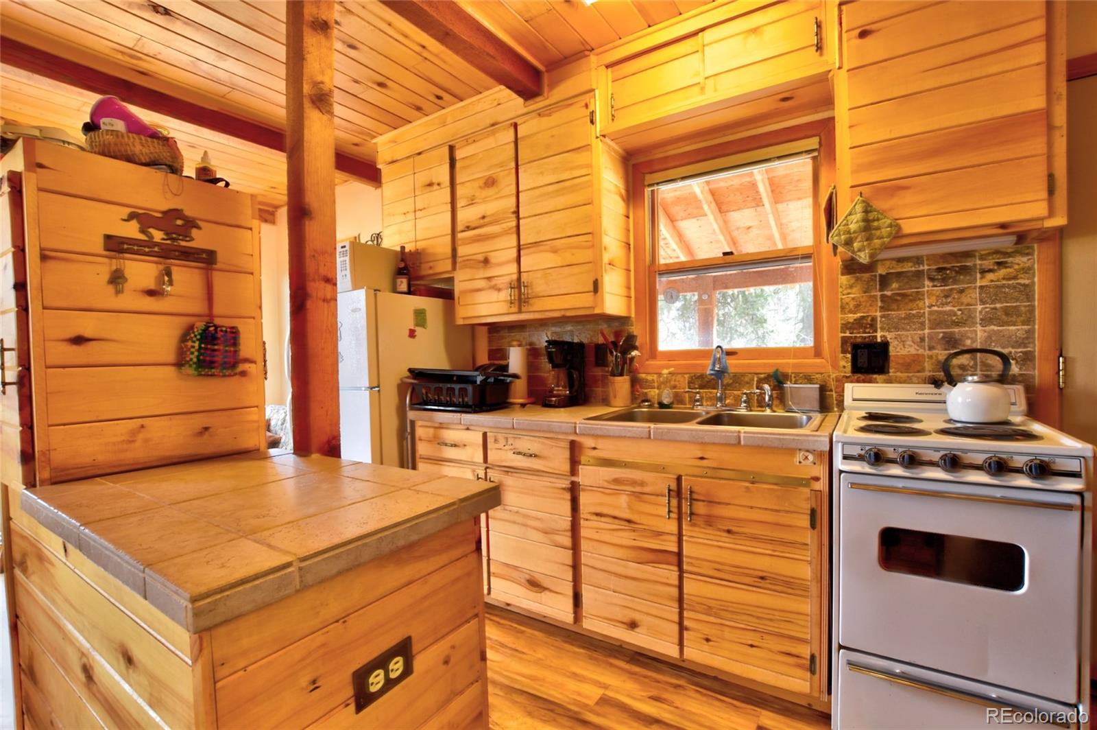 MLS Image #14 for 45  swiggler court,jefferson, Colorado