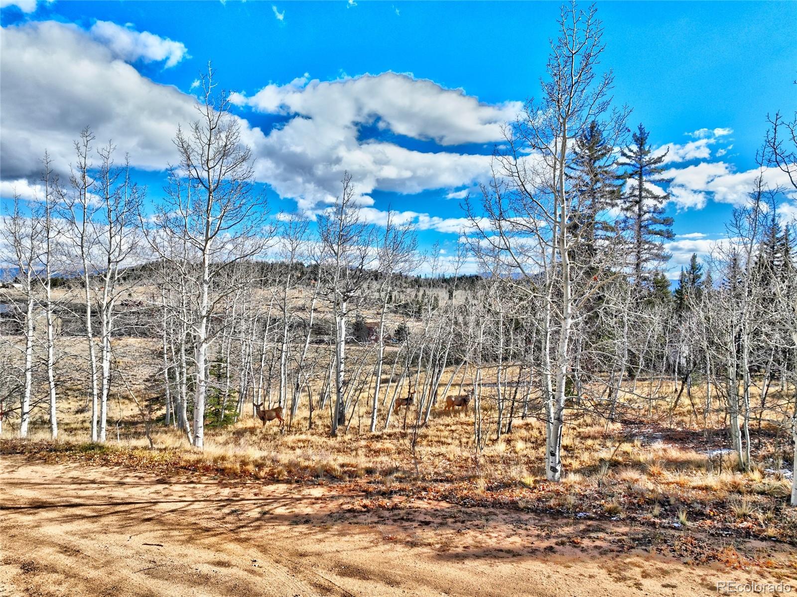 MLS Image #29 for 45  swiggler court,jefferson, Colorado
