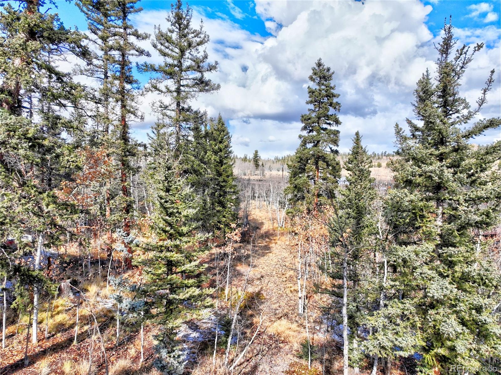 MLS Image #31 for 45  swiggler court,jefferson, Colorado