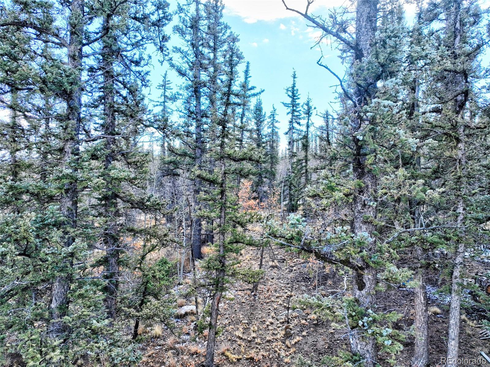 MLS Image #34 for 45  swiggler court,jefferson, Colorado