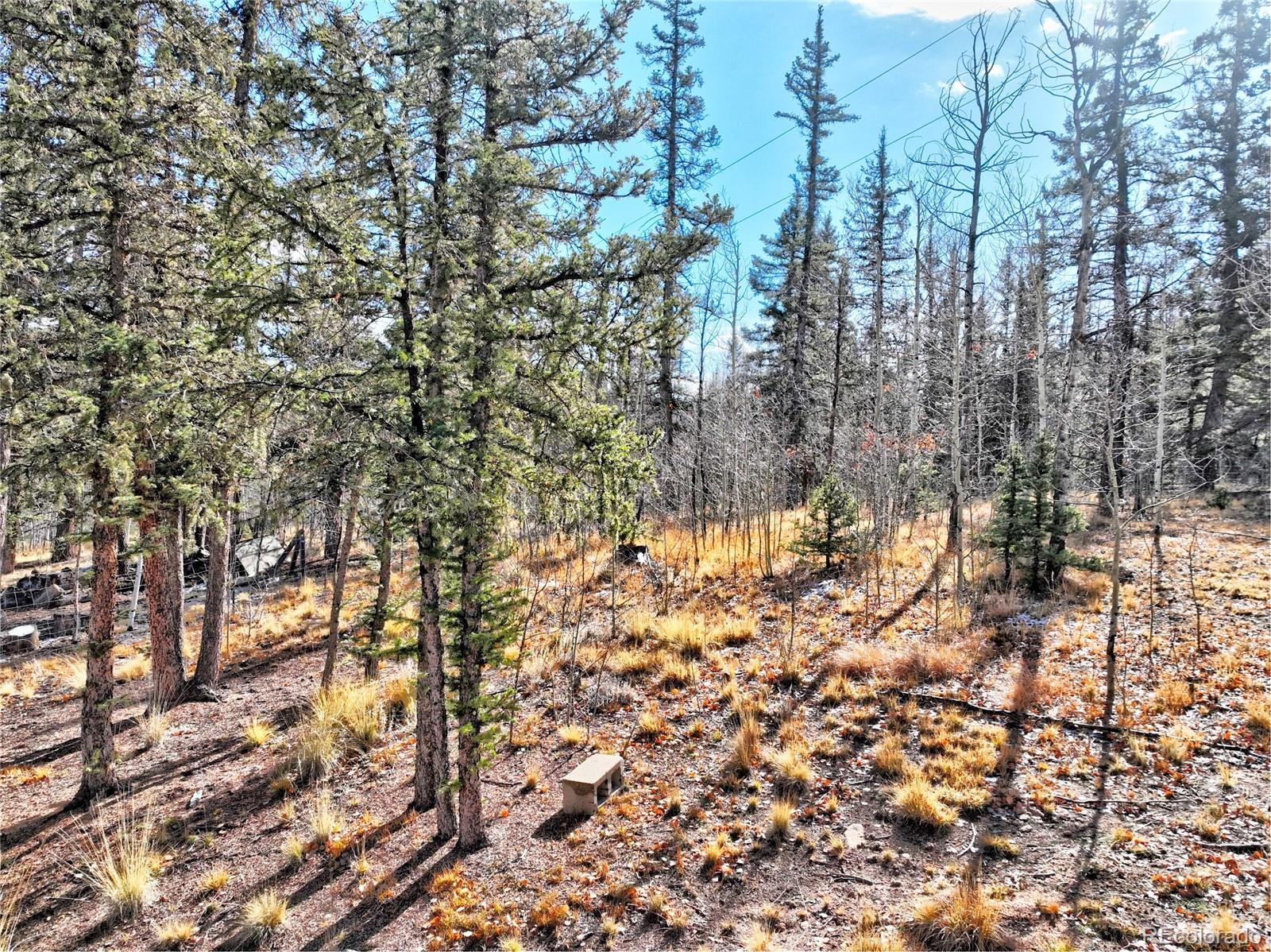 MLS Image #37 for 45  swiggler court,jefferson, Colorado