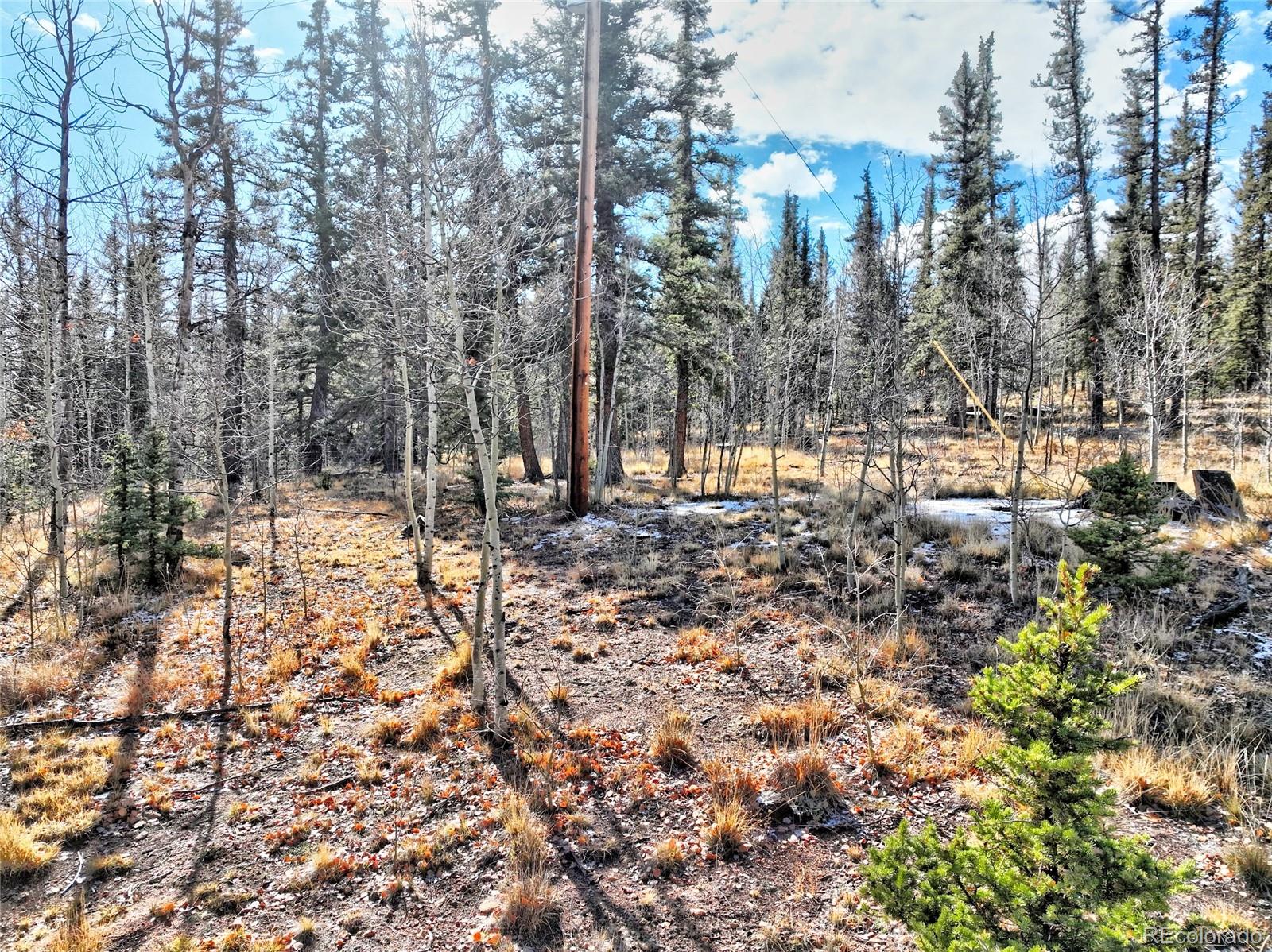 MLS Image #38 for 45  swiggler court,jefferson, Colorado