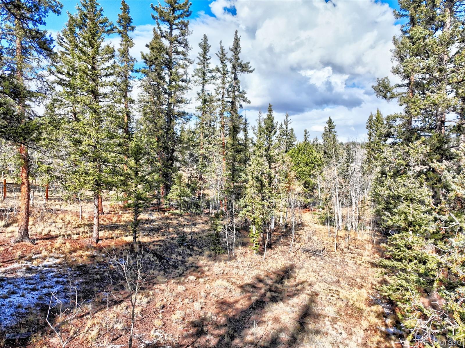 MLS Image #40 for 45  swiggler court,jefferson, Colorado