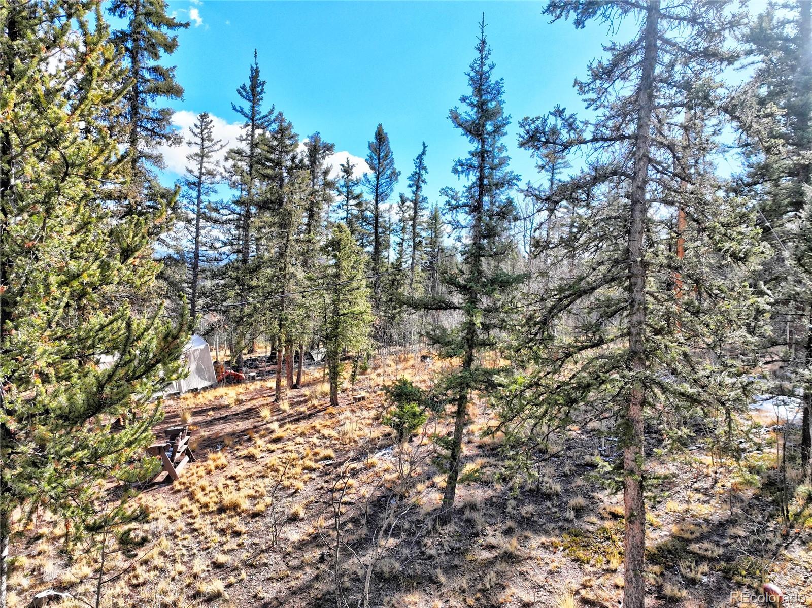 MLS Image #41 for 45  swiggler court,jefferson, Colorado
