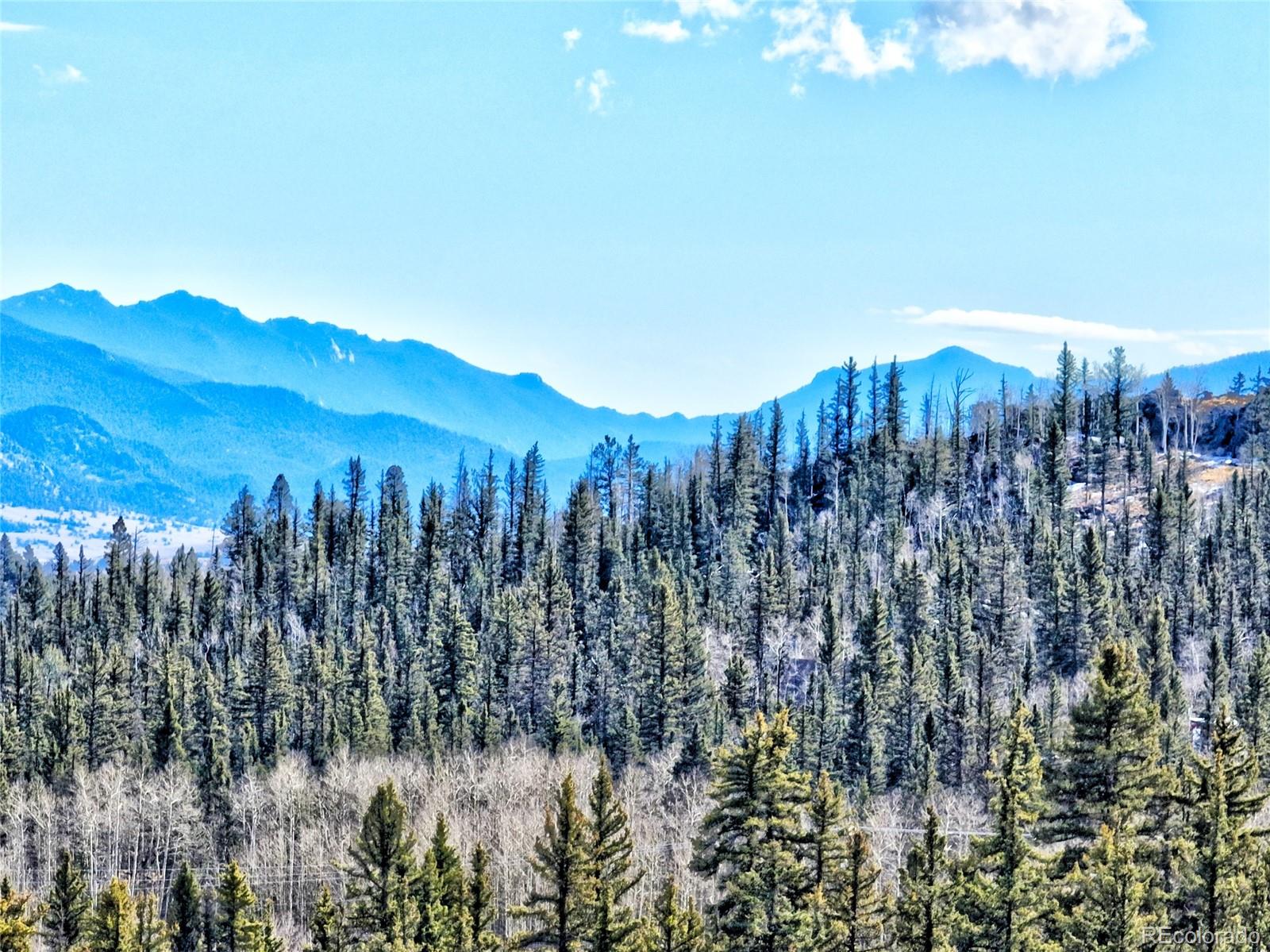 MLS Image #42 for 45  swiggler court,jefferson, Colorado