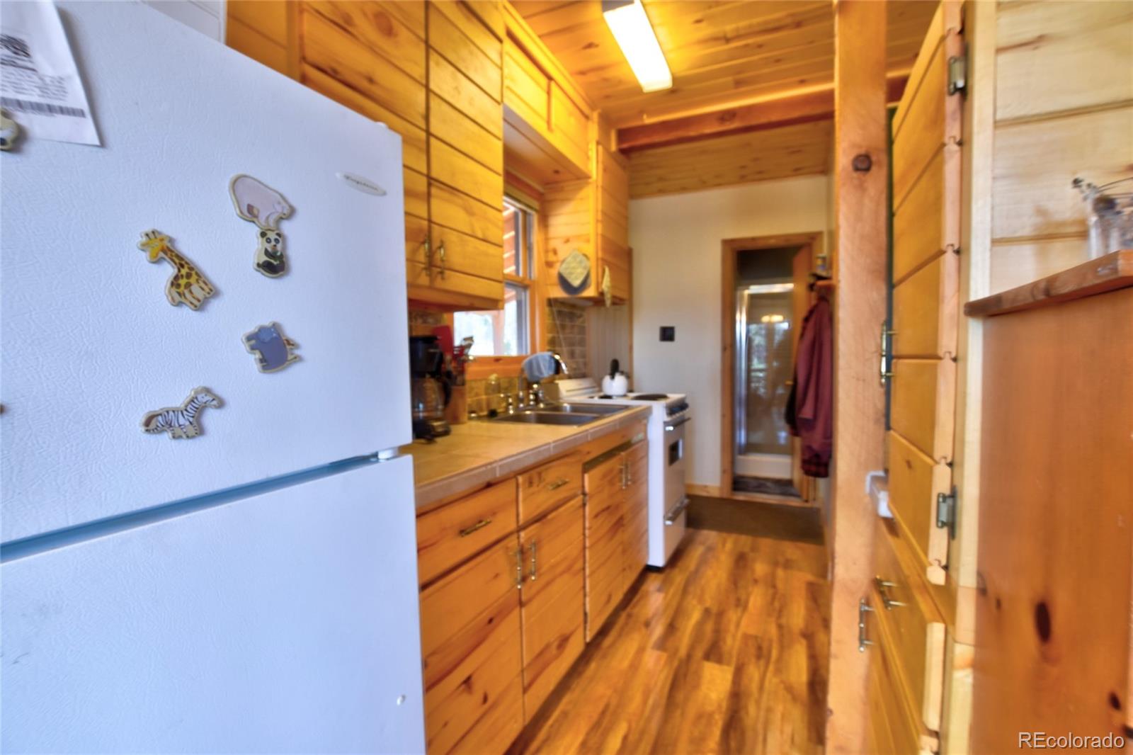 MLS Image #8 for 45  swiggler court,jefferson, Colorado