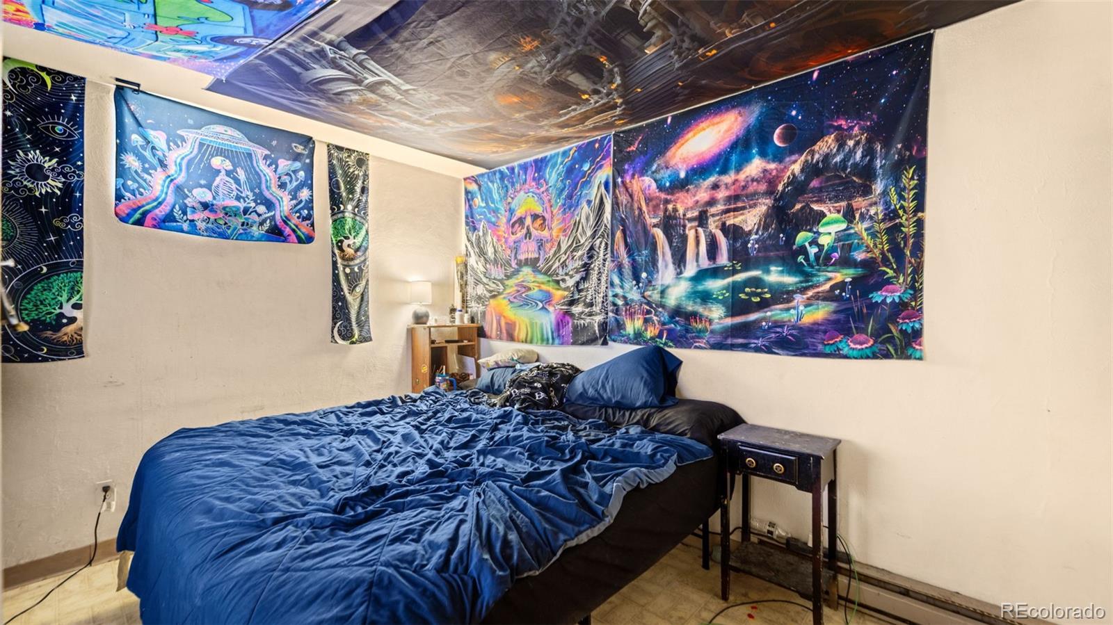 MLS Image #17 for 2516 e san miguel street,colorado springs, Colorado