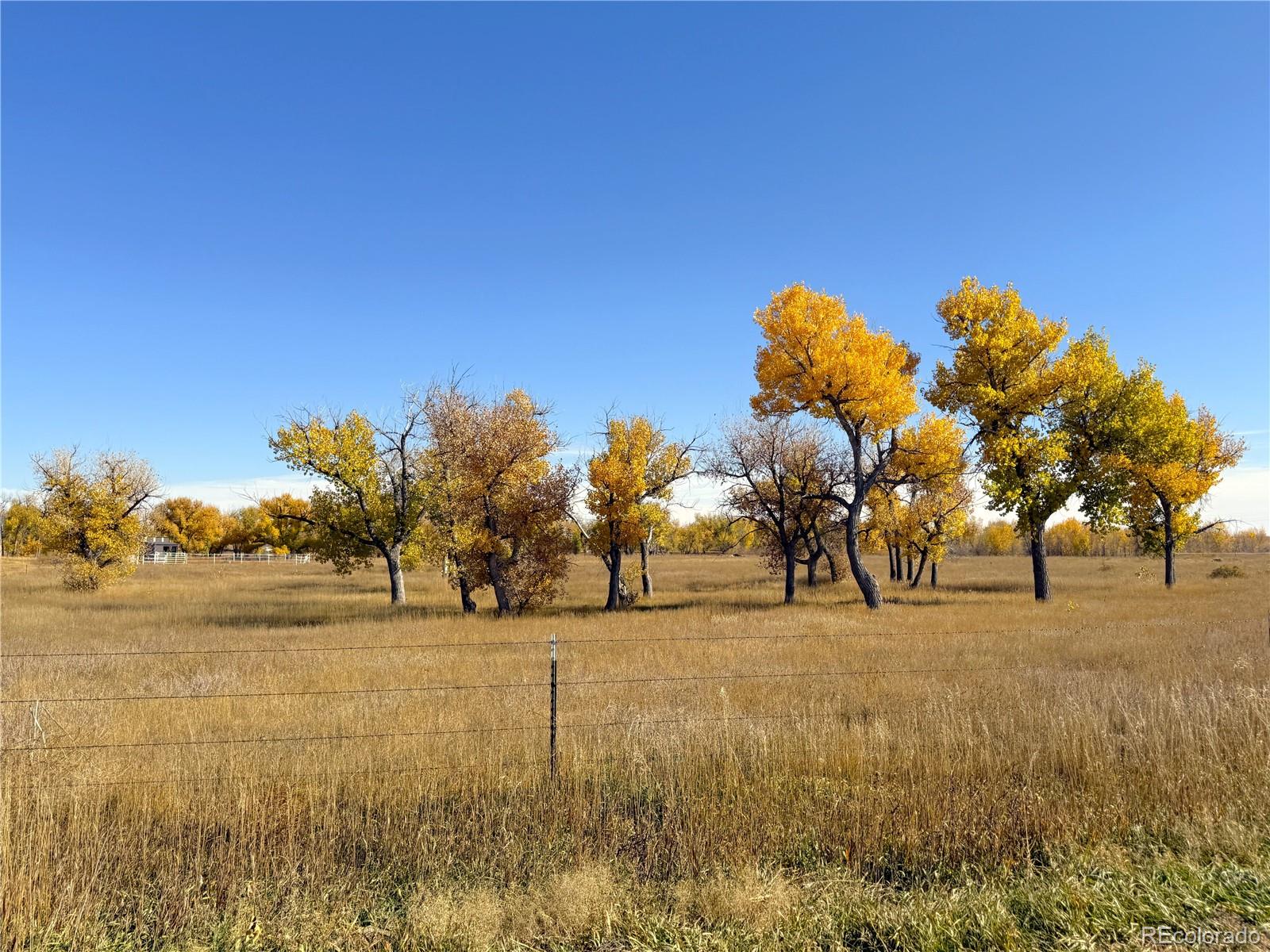 MLS Image #3 for 29100  county road 183 ,limon, Colorado