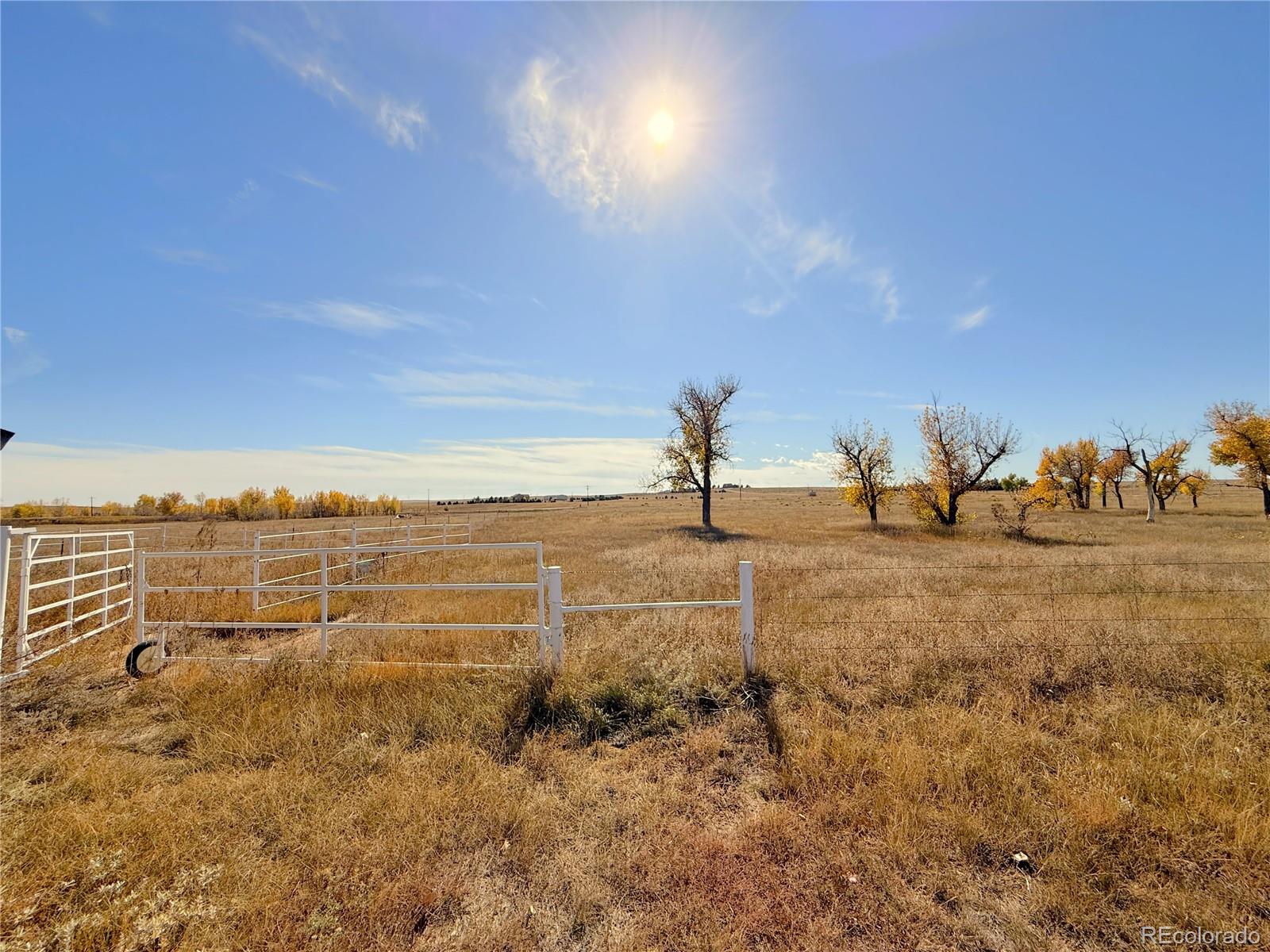 MLS Image #5 for 29100  county road 183 ,limon, Colorado
