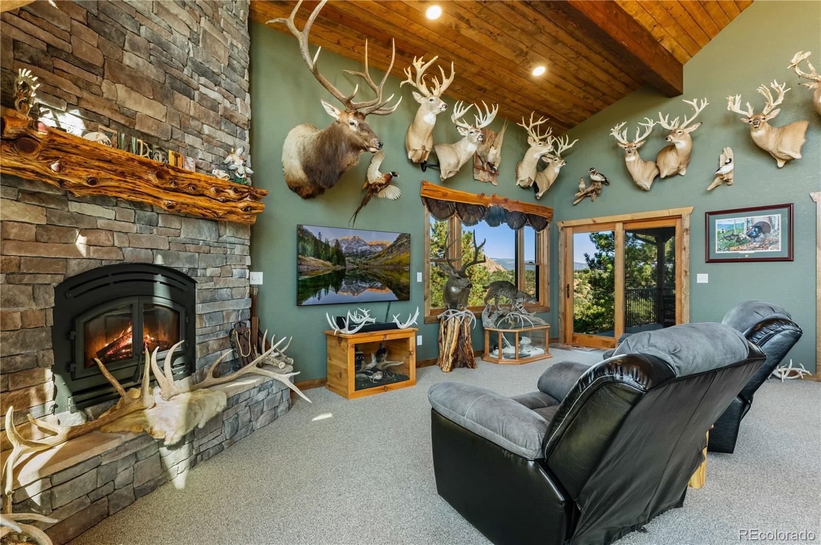 MLS Image #19 for 1310  sunrise ridge,cotopaxi, Colorado
