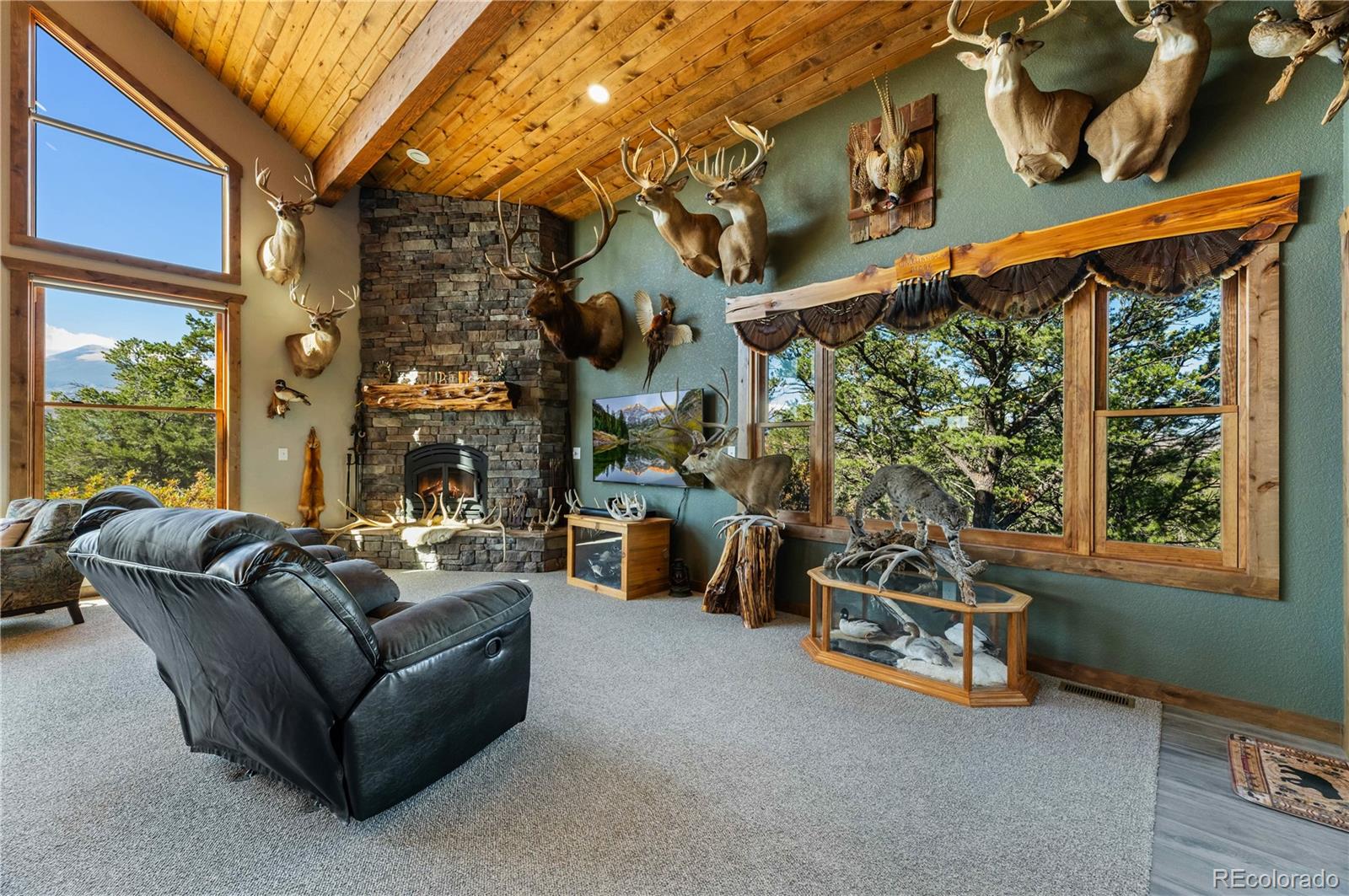 MLS Image #20 for 1310  sunrise ridge,cotopaxi, Colorado