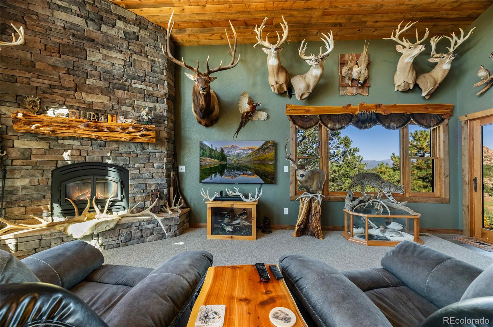 MLS Image #21 for 1310  sunrise ridge,cotopaxi, Colorado