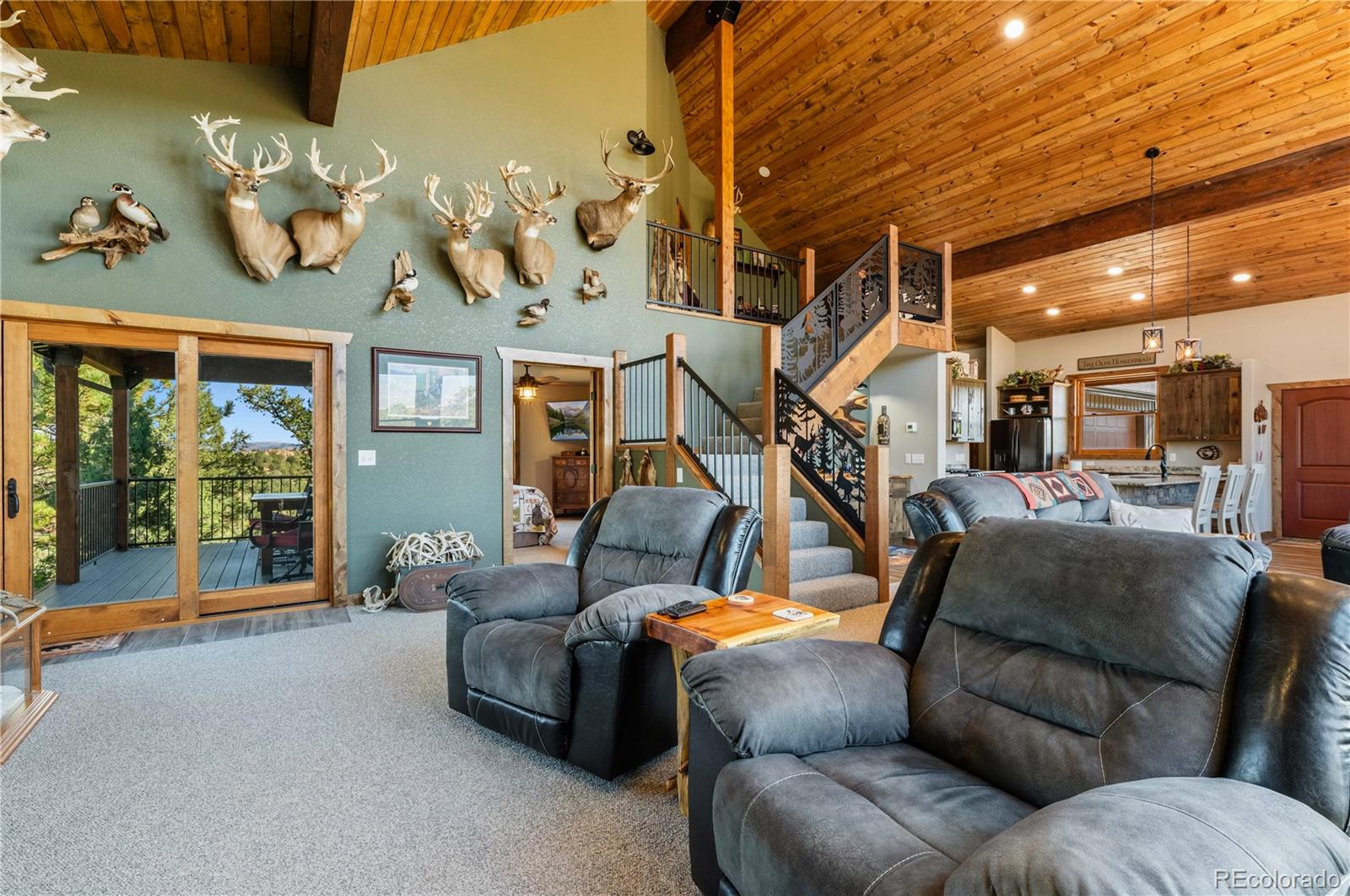 MLS Image #23 for 1310  sunrise ridge,cotopaxi, Colorado