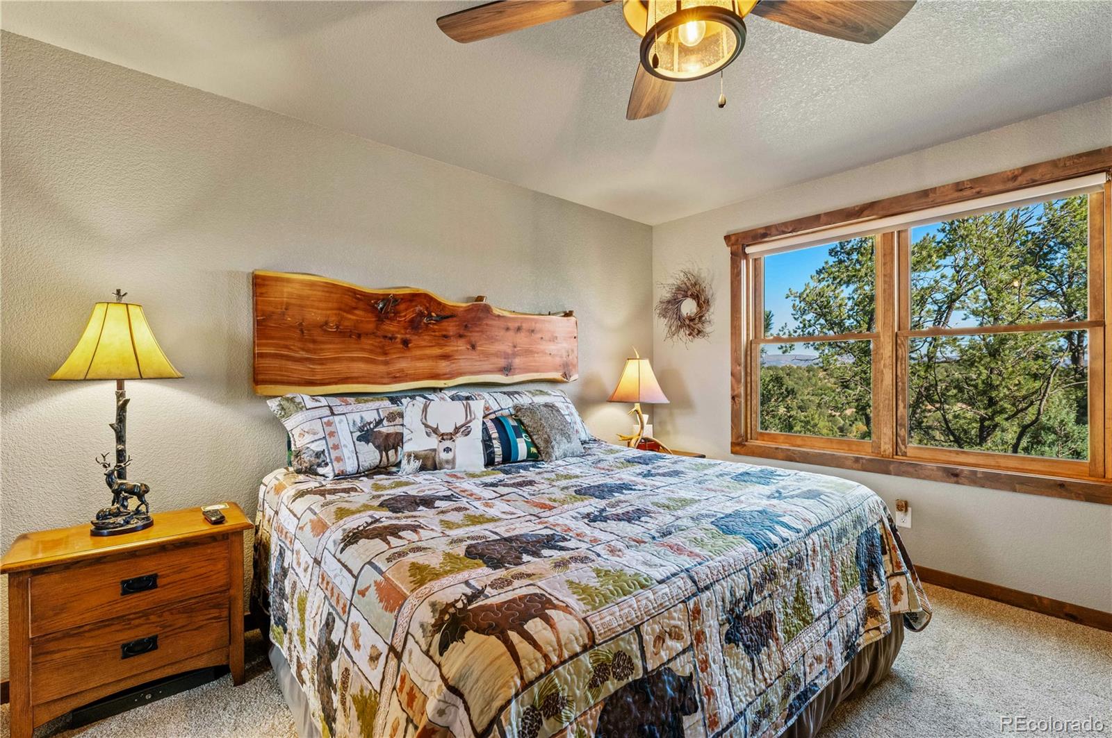 MLS Image #25 for 1310  sunrise ridge,cotopaxi, Colorado