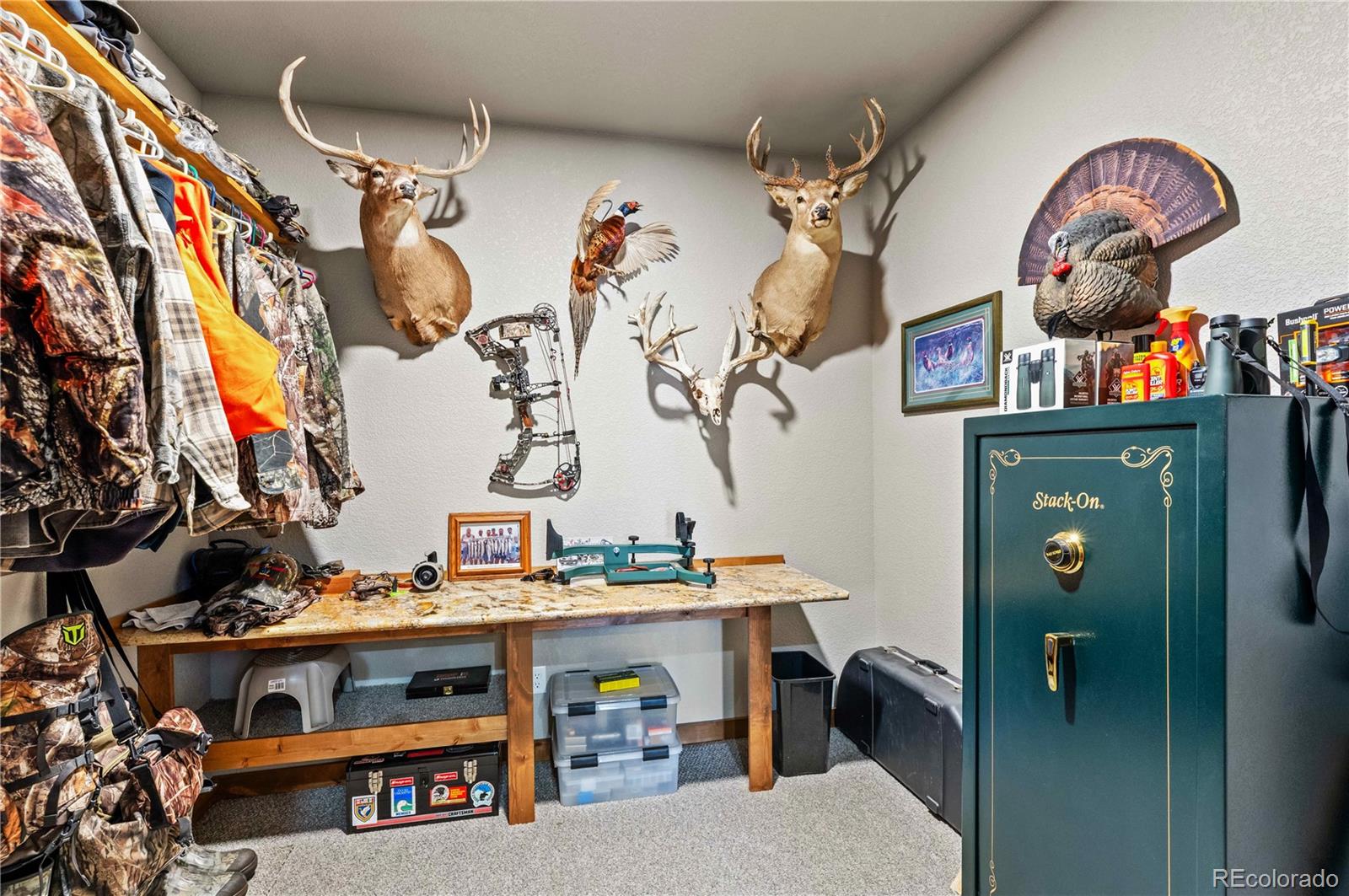 MLS Image #35 for 1310  sunrise ridge,cotopaxi, Colorado