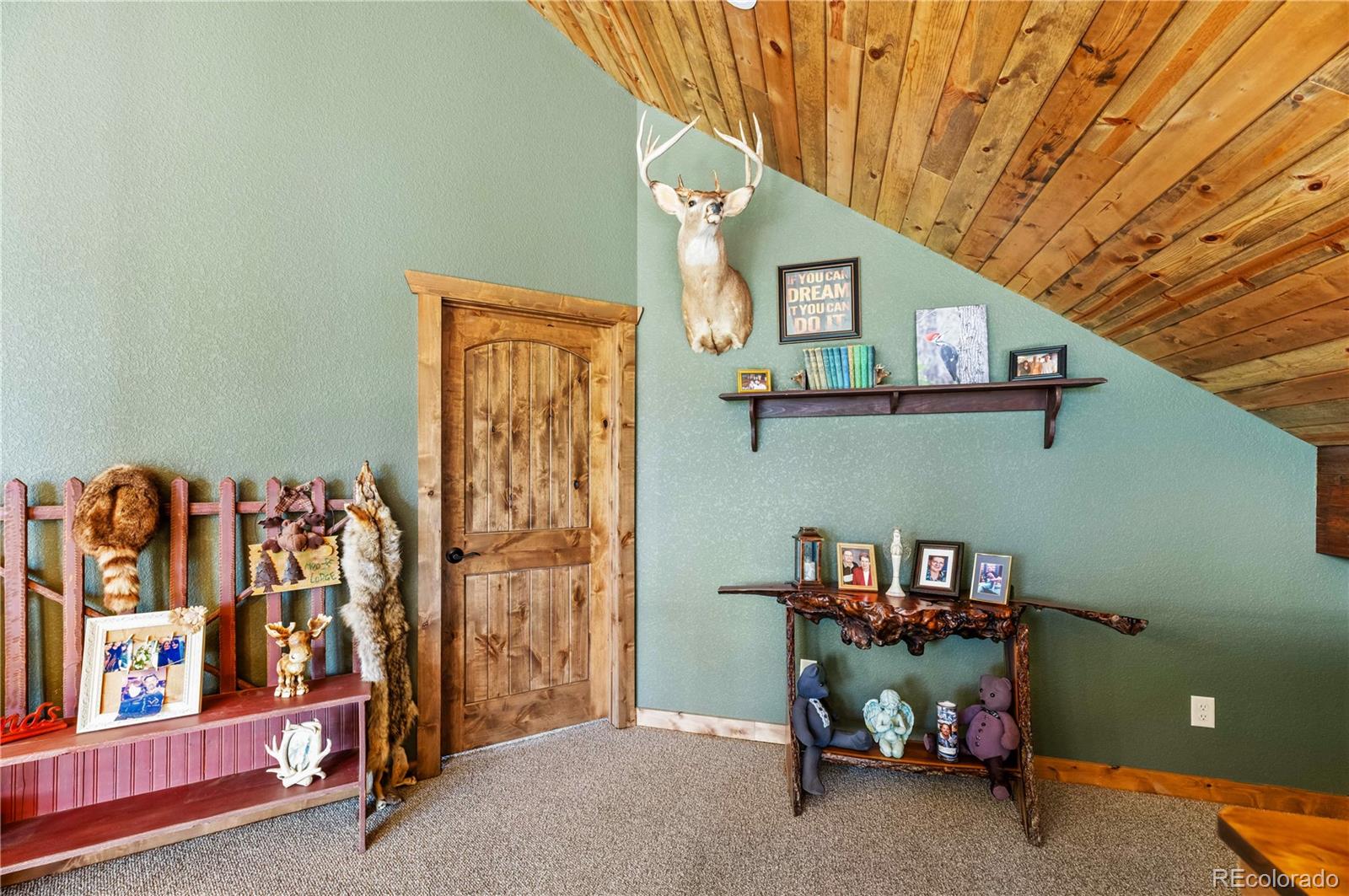 MLS Image #38 for 1310  sunrise ridge,cotopaxi, Colorado