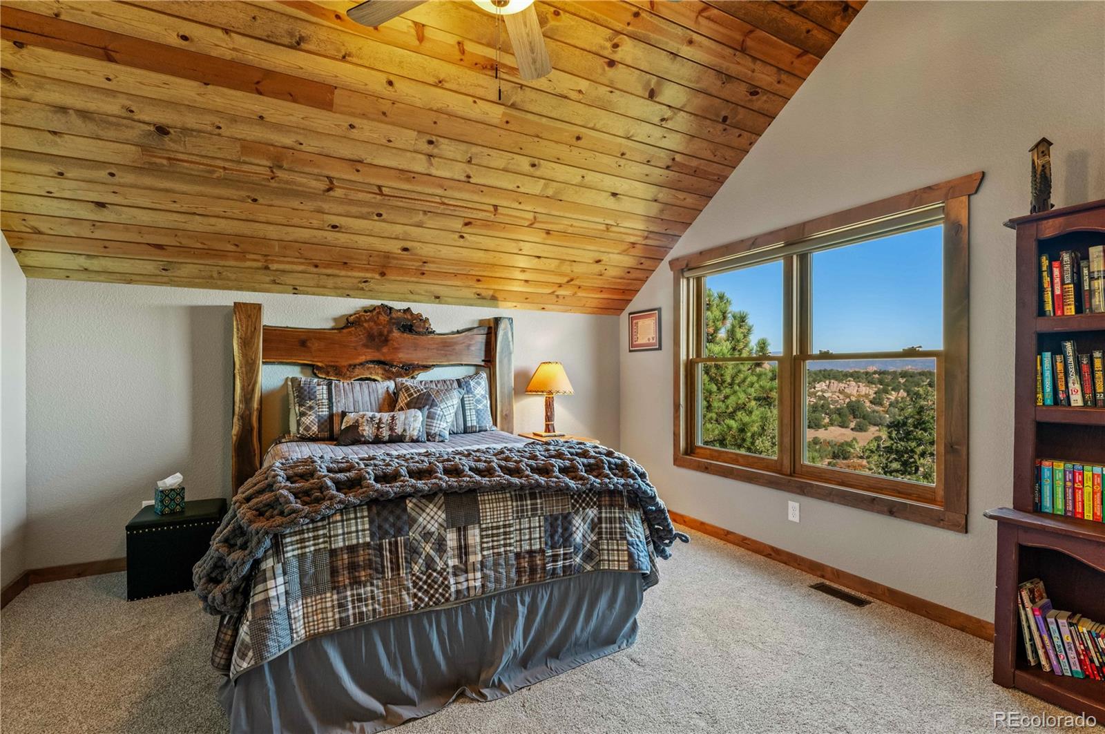 MLS Image #39 for 1310  sunrise ridge,cotopaxi, Colorado