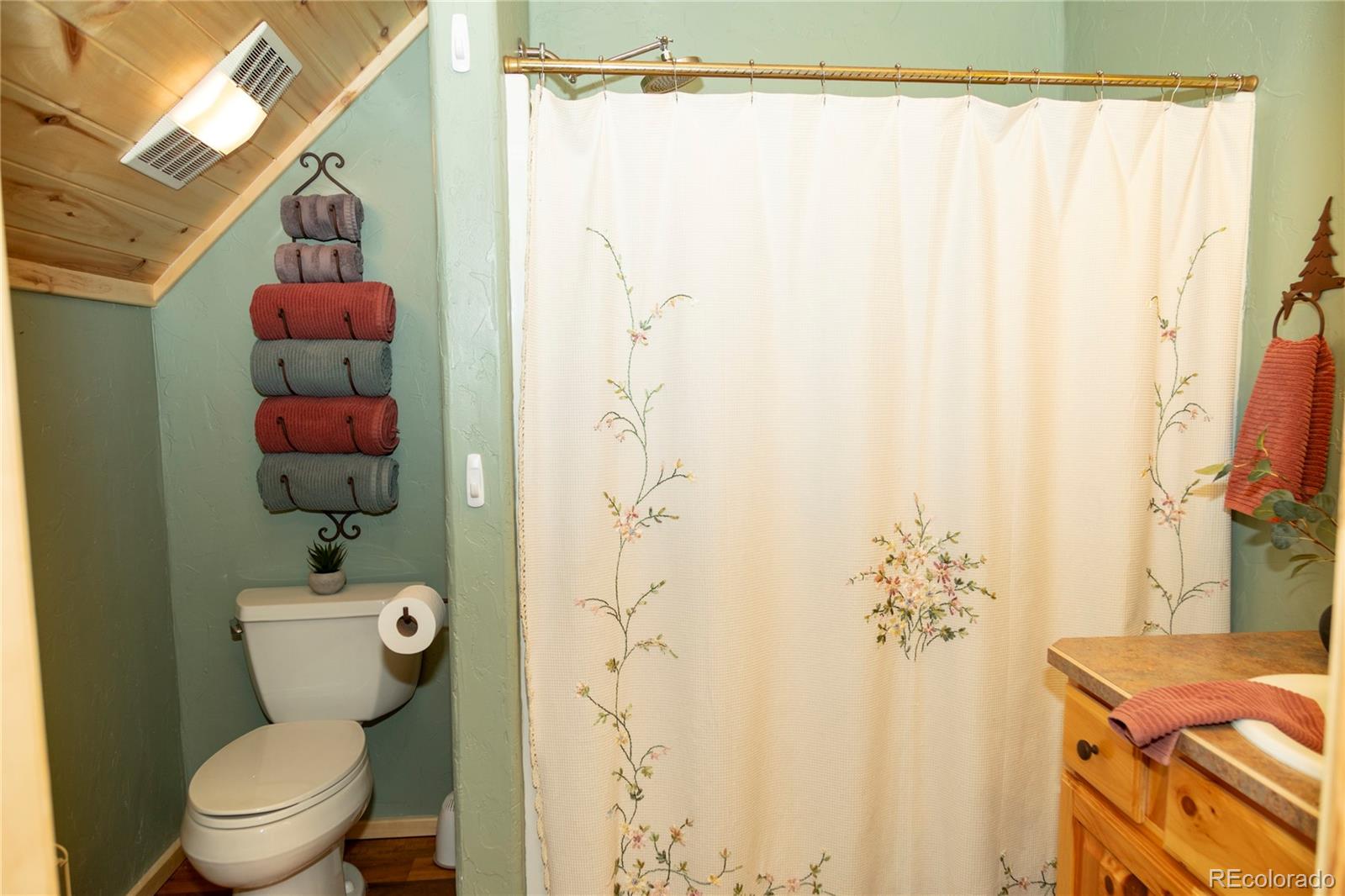 MLS Image #14 for 258  diamond road,creede, Colorado