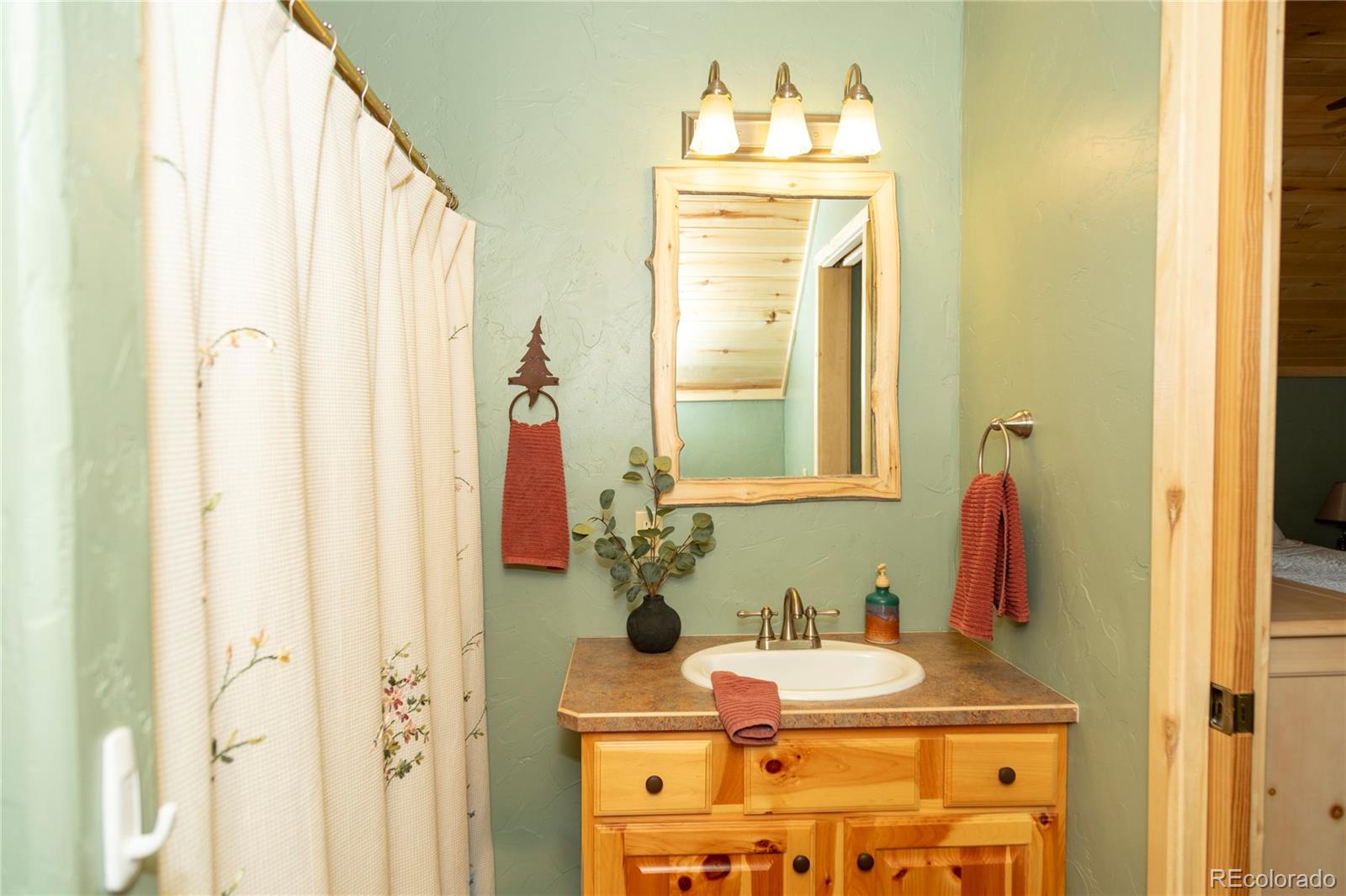 MLS Image #19 for 258  diamond road,creede, Colorado