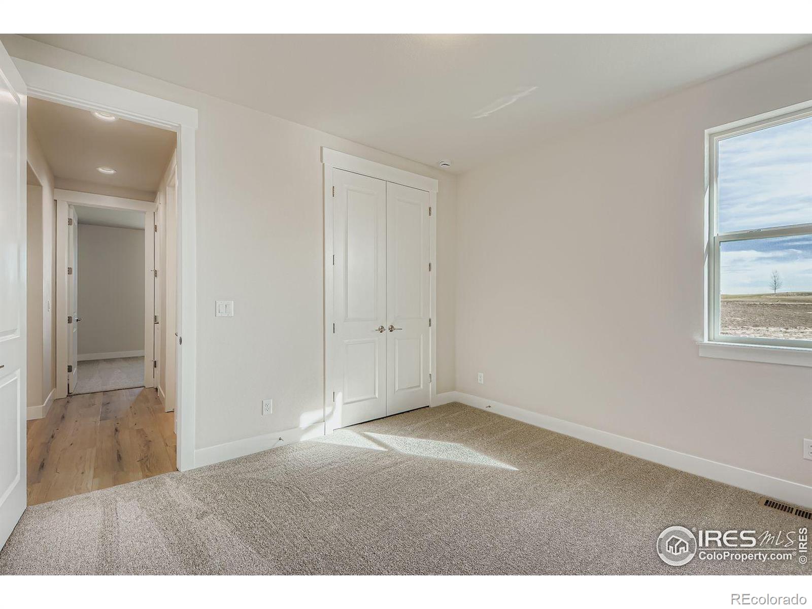 MLS Image #15 for 1825  flourish drive,windsor, Colorado