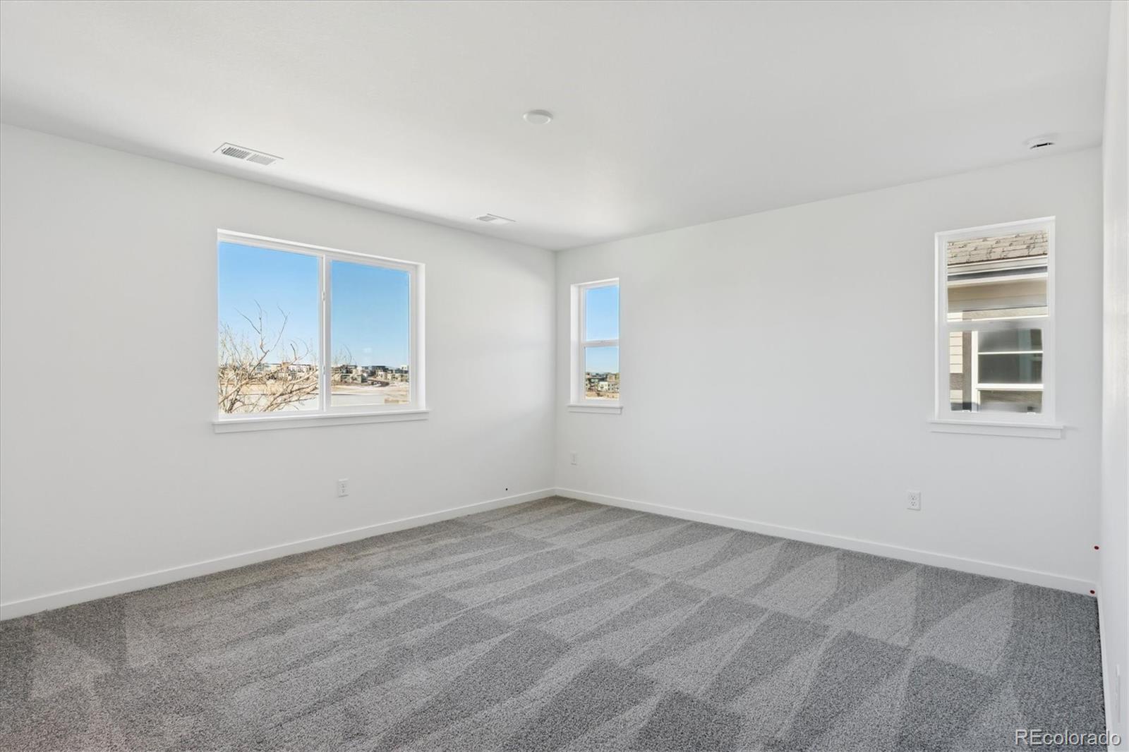 MLS Image #12 for 9140  hayden peak street,englewood, Colorado
