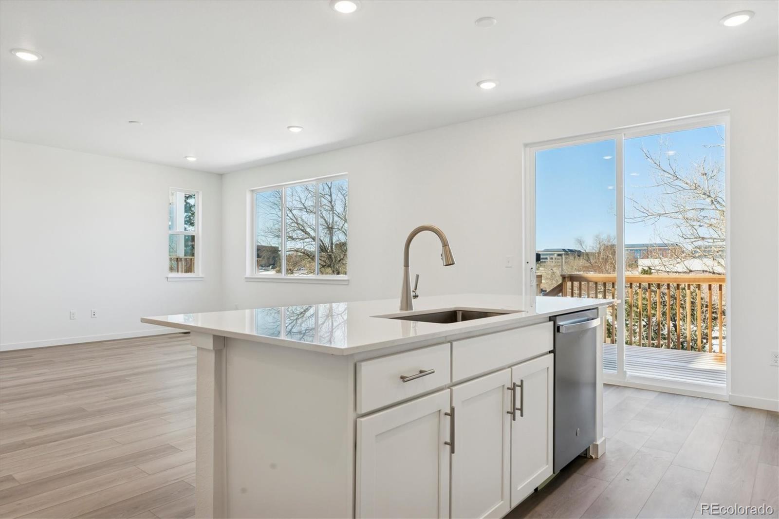 MLS Image #7 for 9140  hayden peak street,englewood, Colorado