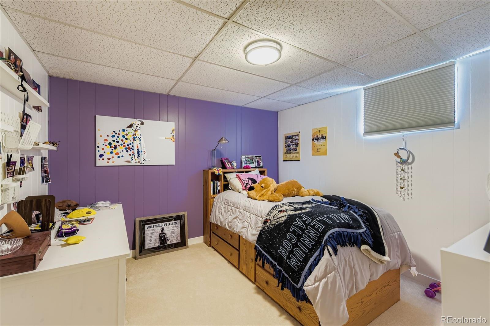 MLS Image #28 for 6064 s steele street,centennial, Colorado