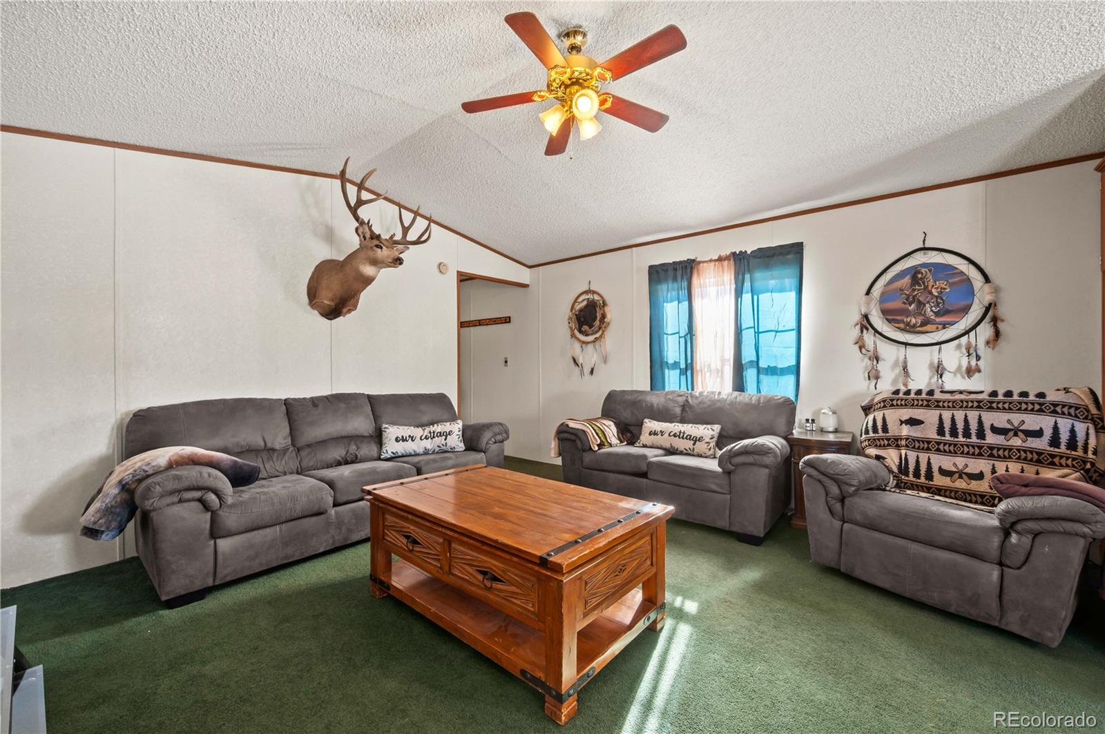 MLS Image #9 for 1838  17th trail,cotopaxi, Colorado