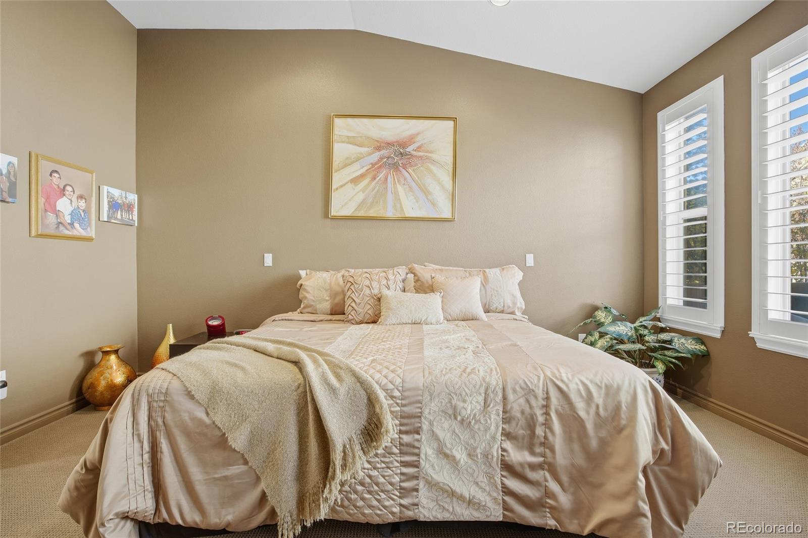 MLS Image #19 for 9566  firenze way ,highlands ranch, Colorado