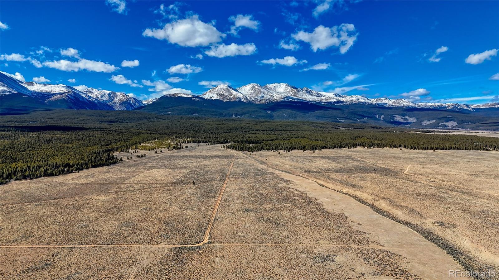 MLS Image #18 for 15  county road 10 ,leadville, Colorado