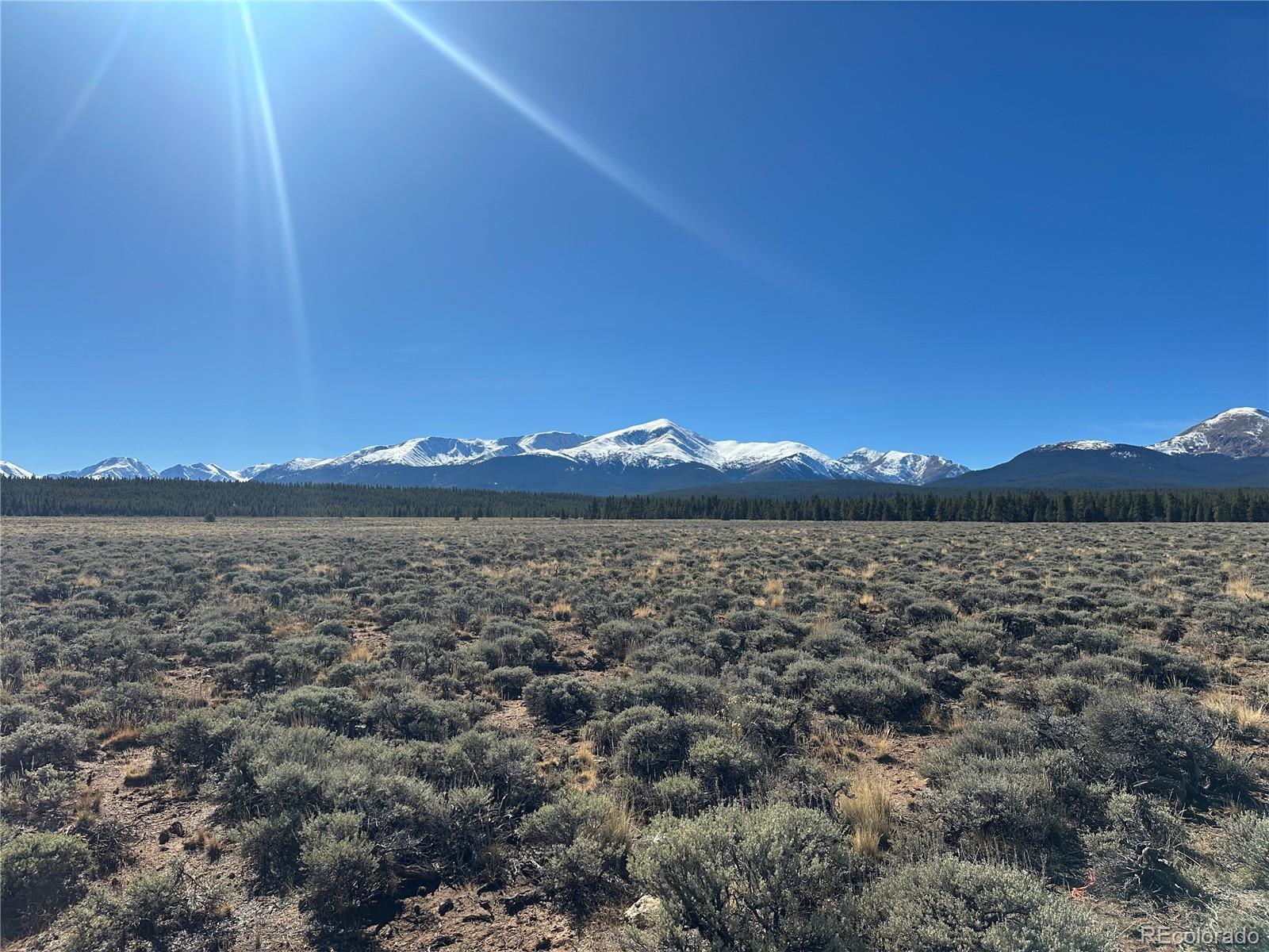 MLS Image #2 for 15  county road 10 ,leadville, Colorado