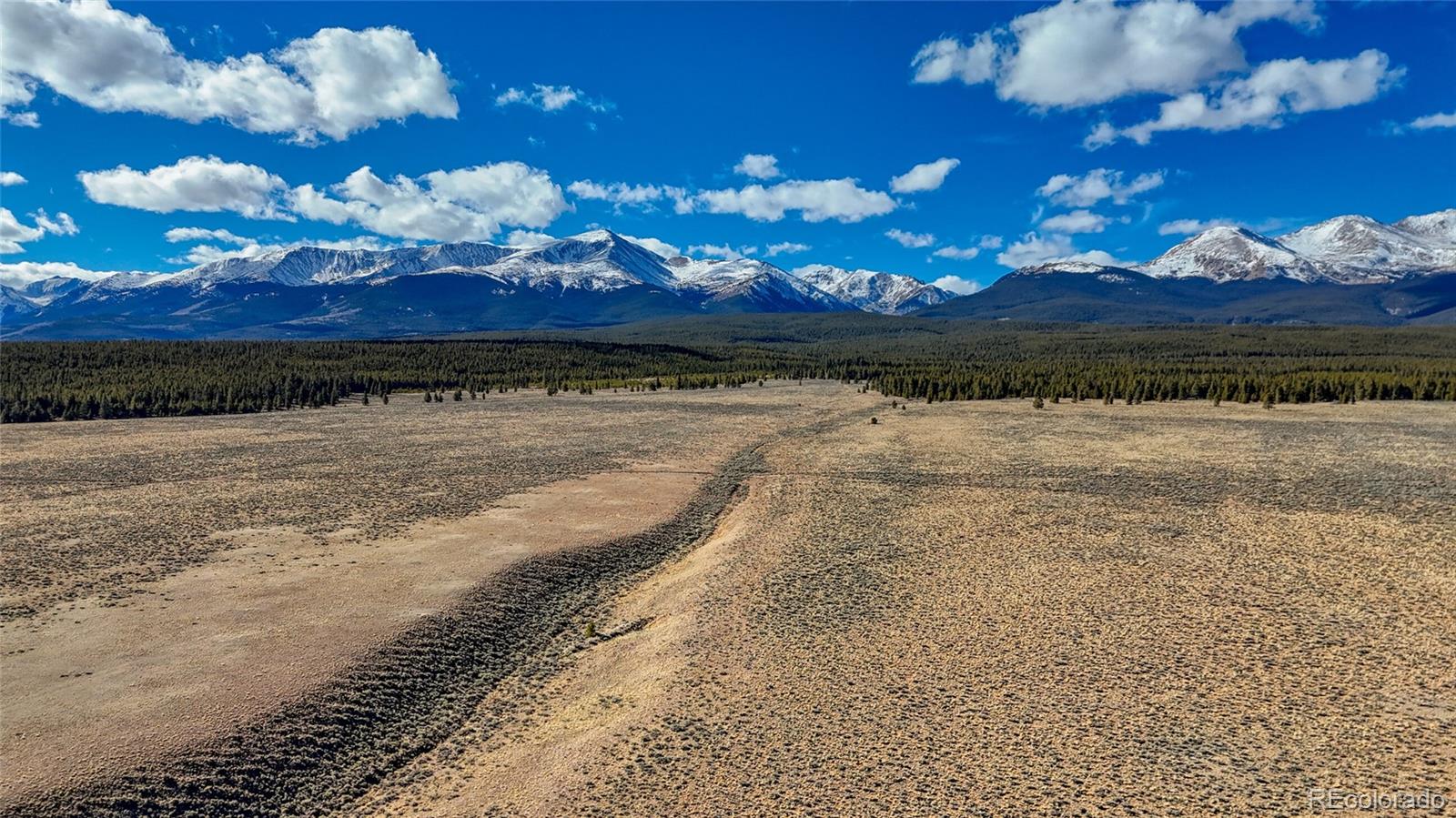 MLS Image #21 for 15  county road 10 ,leadville, Colorado