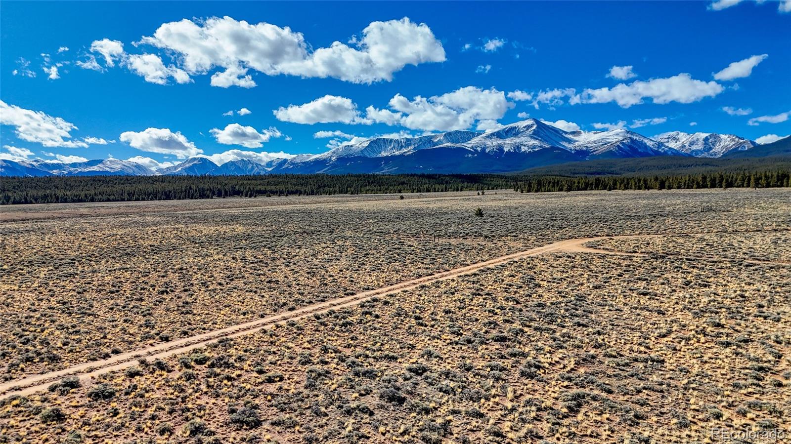 MLS Image #22 for 15  county road 10 ,leadville, Colorado