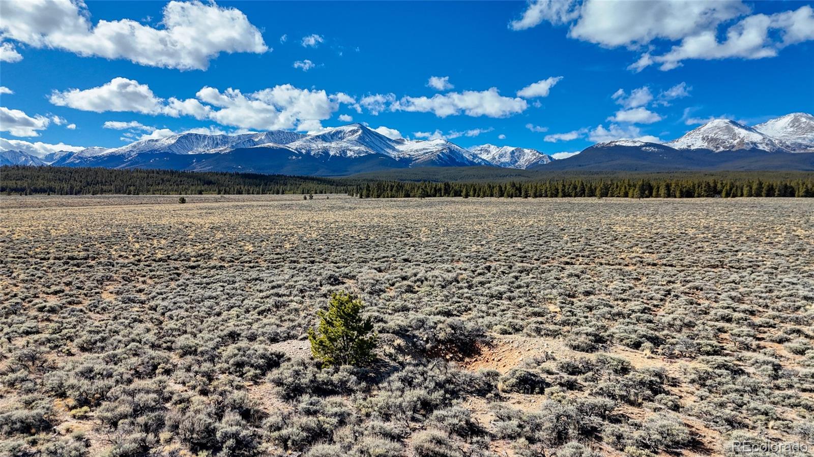 MLS Image #23 for 15  county road 10 ,leadville, Colorado