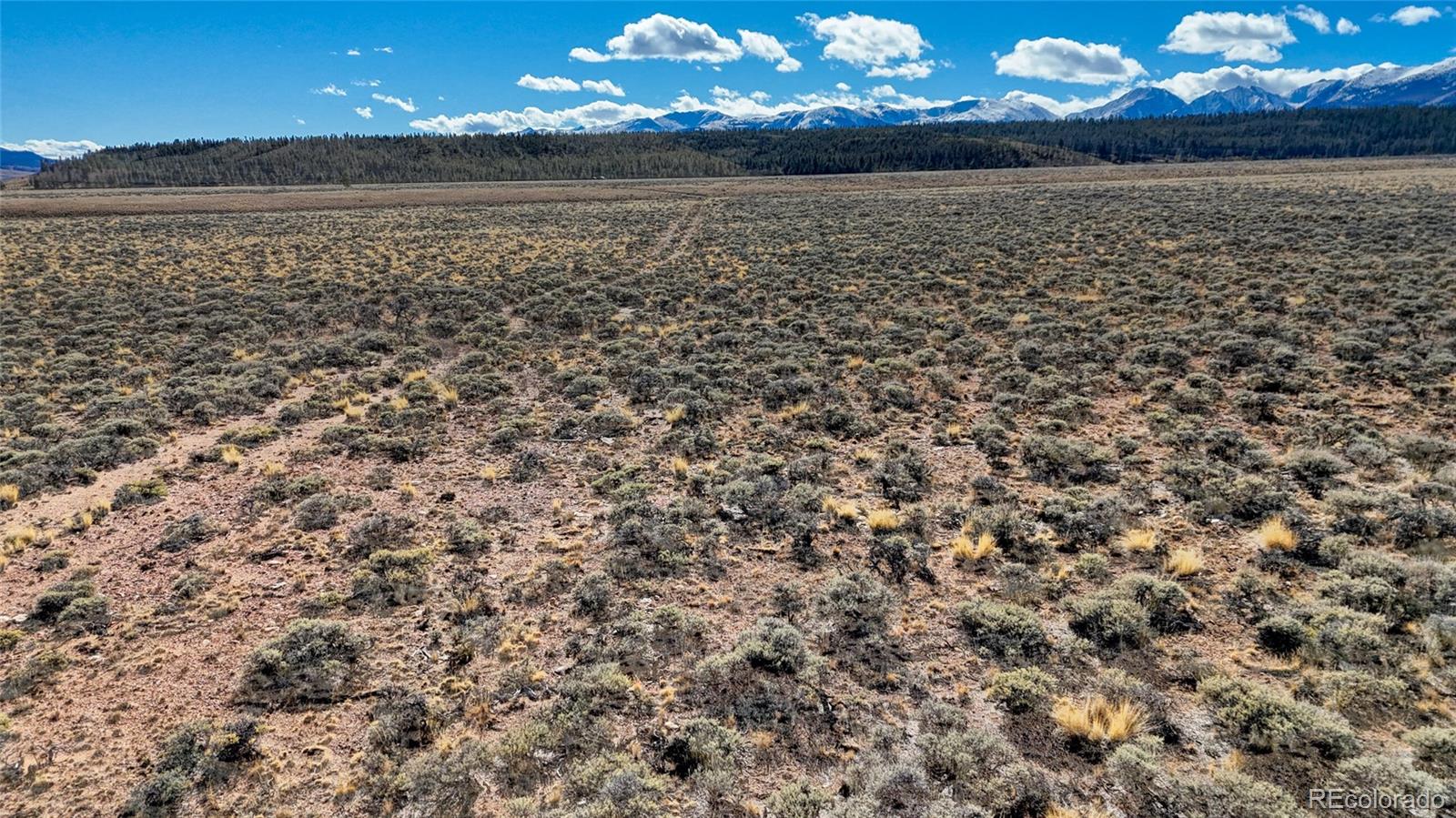 MLS Image #26 for 15  county road 10 ,leadville, Colorado