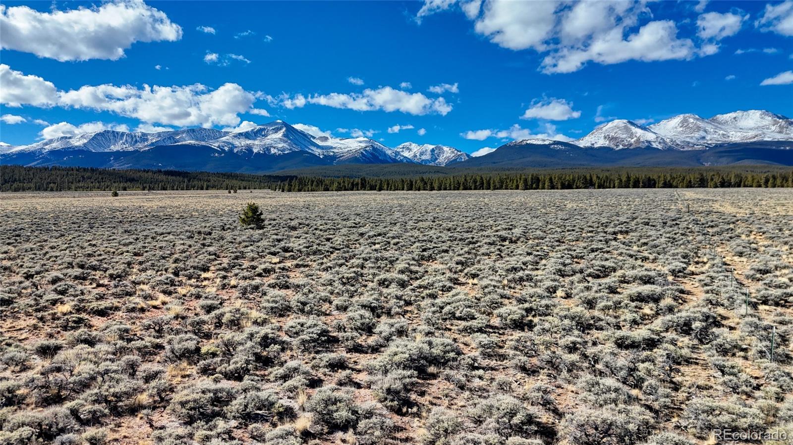 MLS Image #27 for 15  county road 10 ,leadville, Colorado