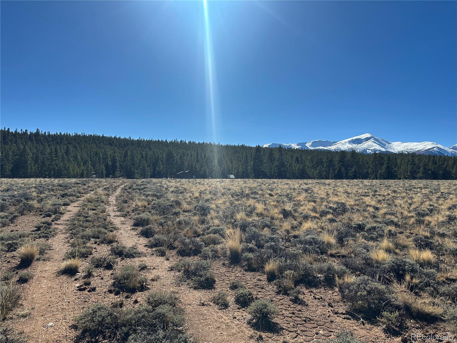 MLS Image #3 for 15  county road 10 ,leadville, Colorado