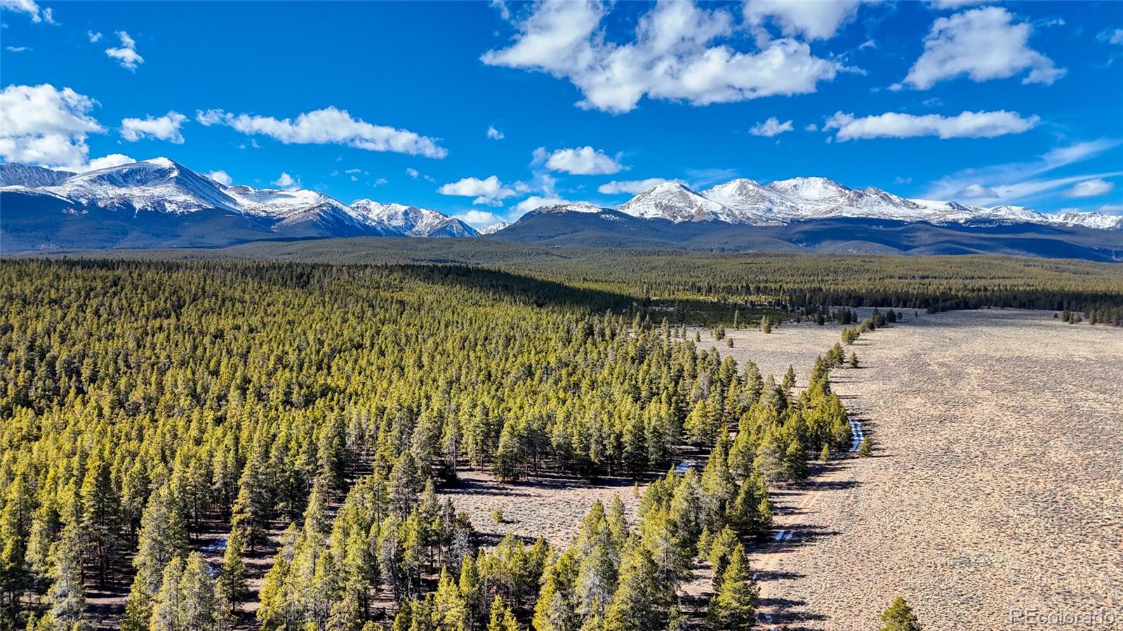 MLS Image #31 for 15  county road 10 ,leadville, Colorado