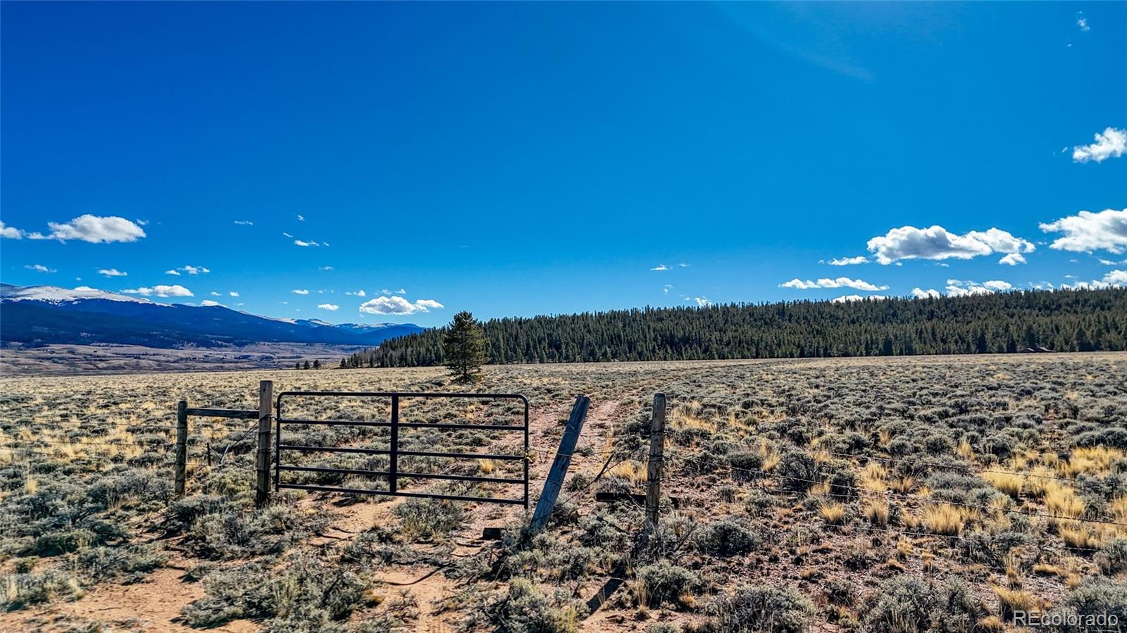 MLS Image #33 for 15  county road 10 ,leadville, Colorado