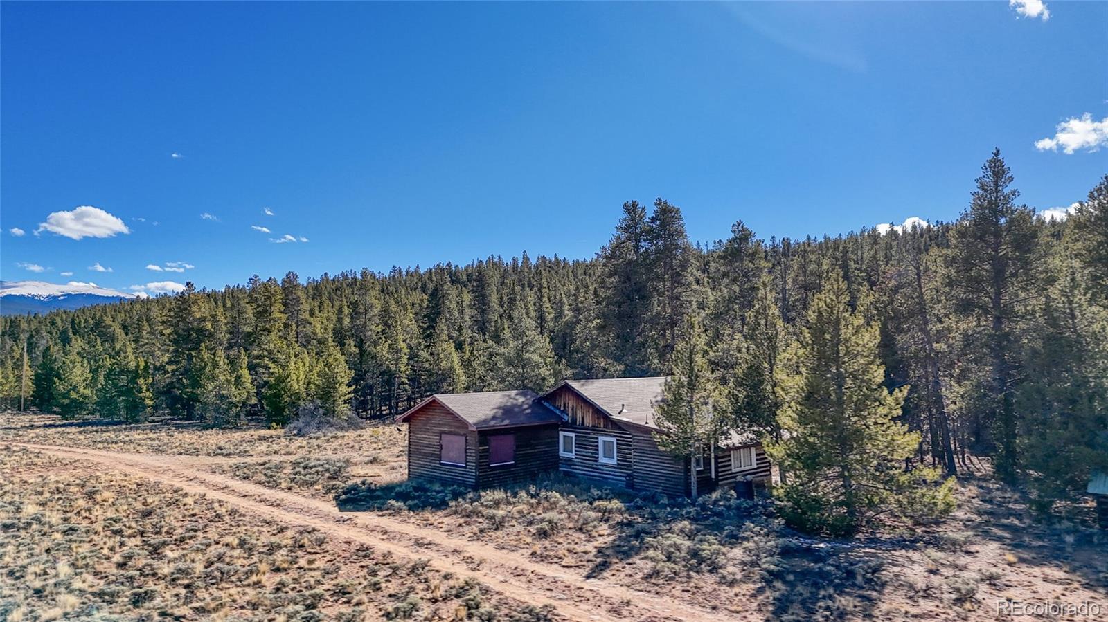 MLS Image #5 for 15  county road 10 ,leadville, Colorado