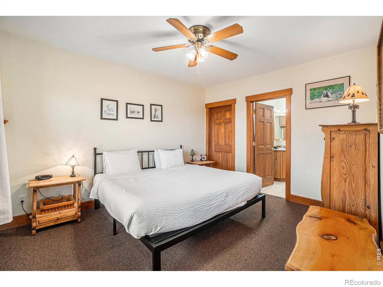 MLS Image #12 for 2625  marys lake road,estes park, Colorado